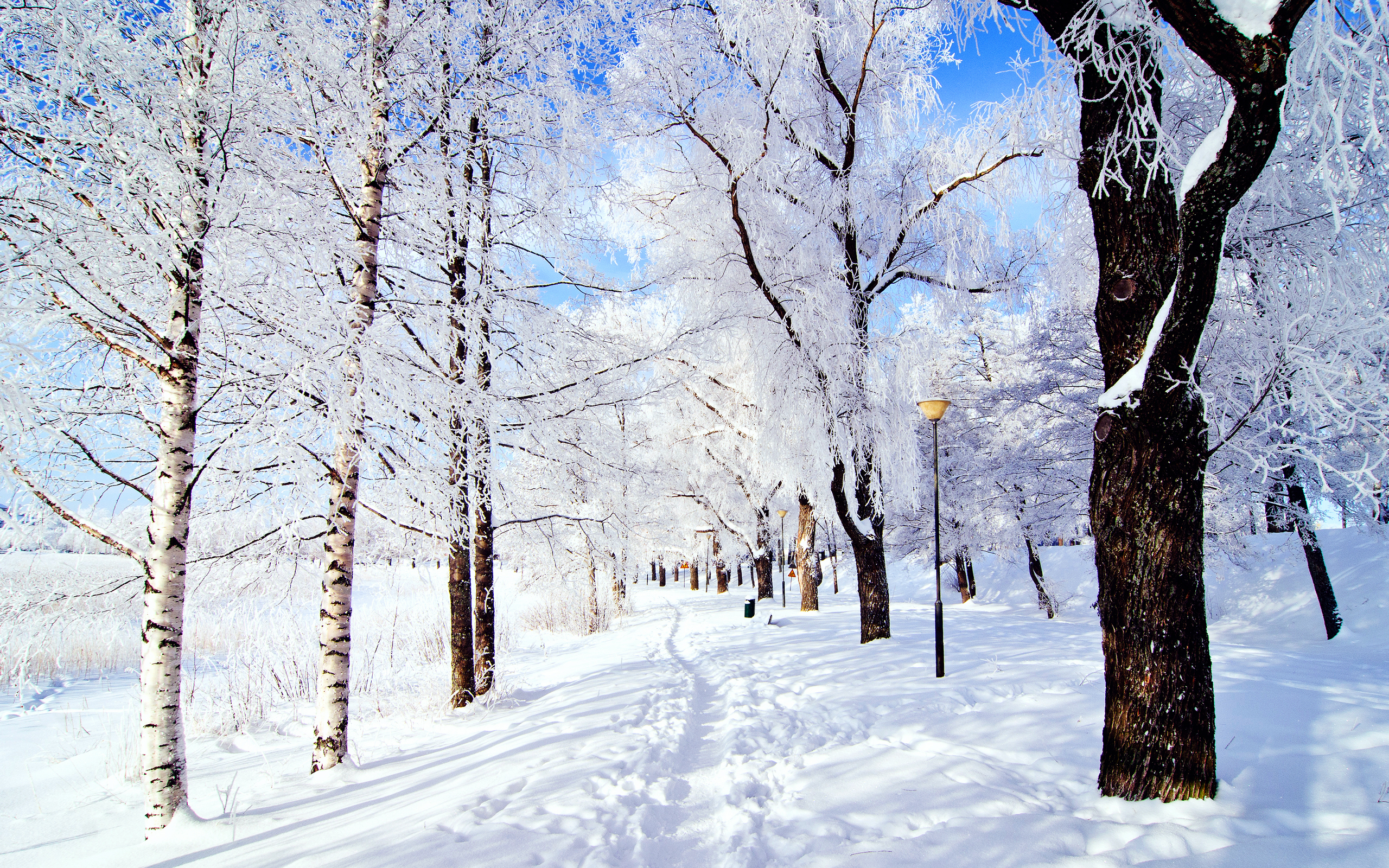 Free download wallpaper Winter, Earth on your PC desktop