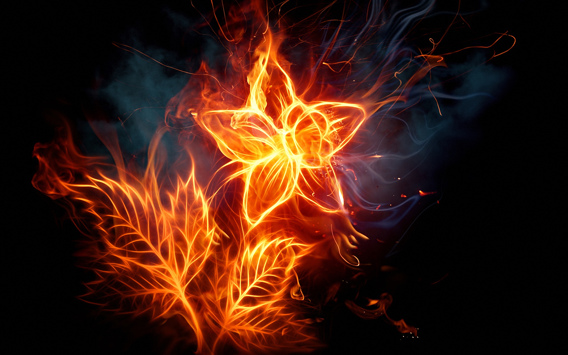 Download mobile wallpaper Flowers, Fire, Flower, Artistic for free.