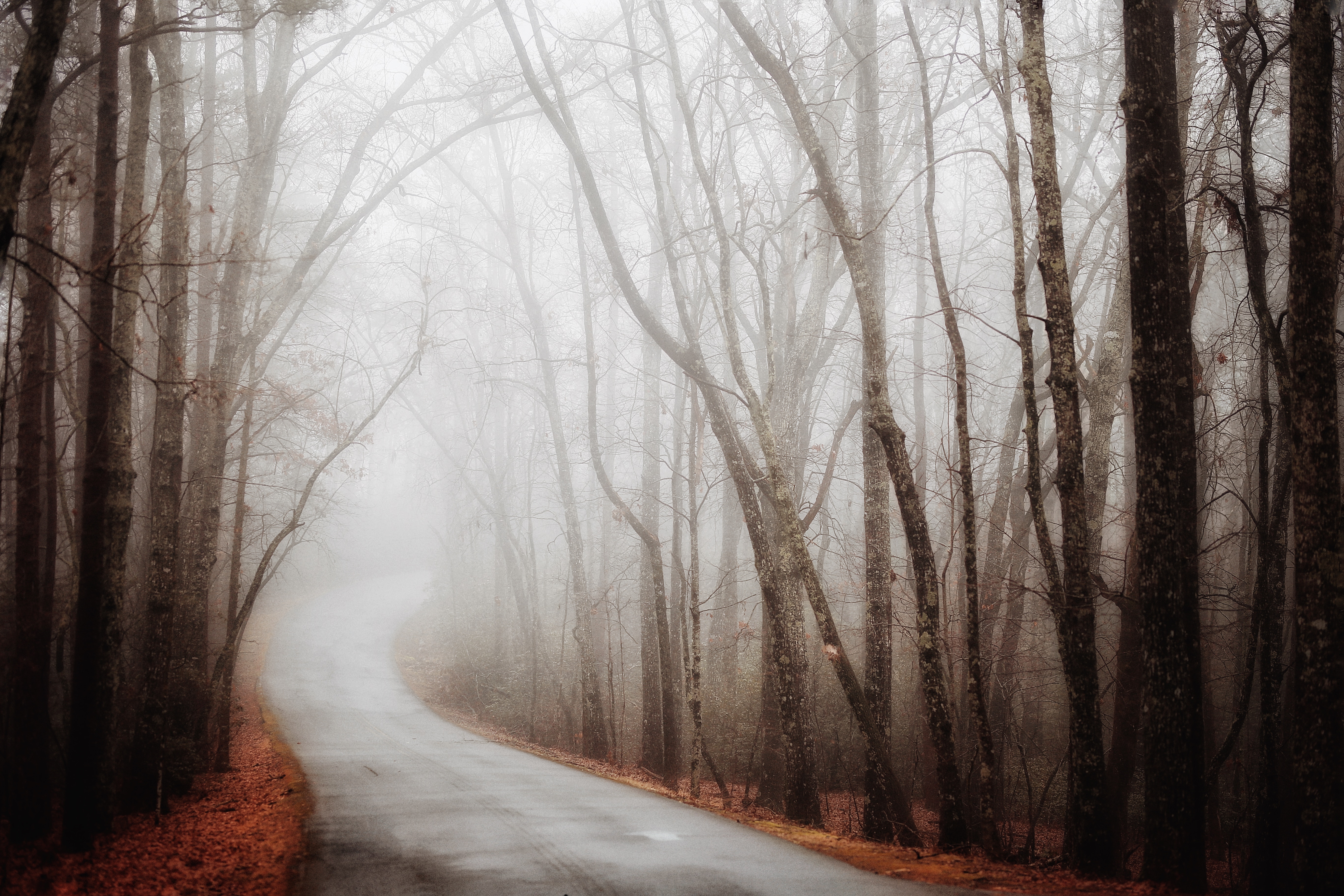 Full HD Wallpaper fog, nature, autumn, road, turn, forest