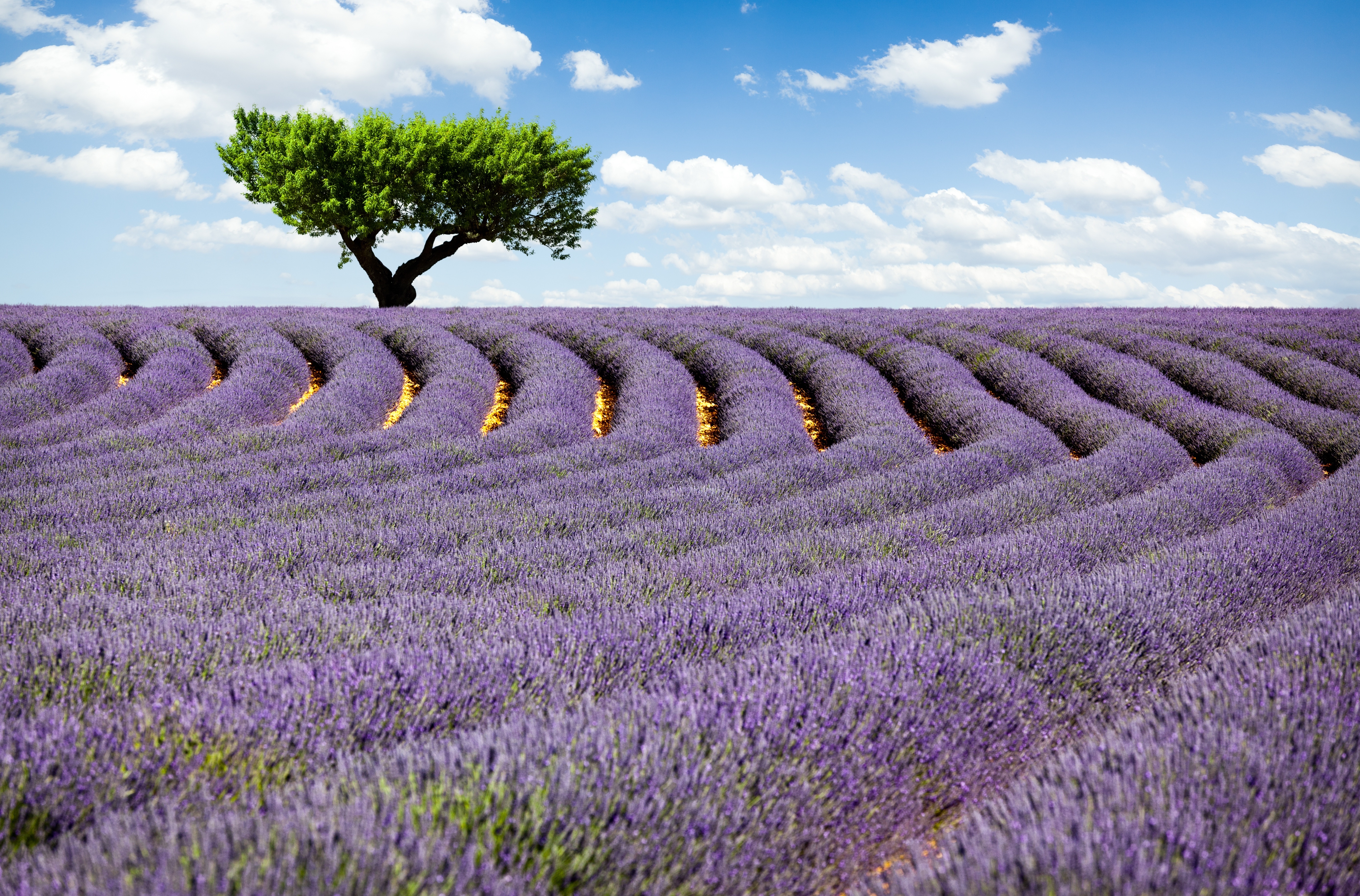 Laden Sie das Landschaft, Erde/natur-Bild kostenlos auf Ihren PC-Desktop herunter