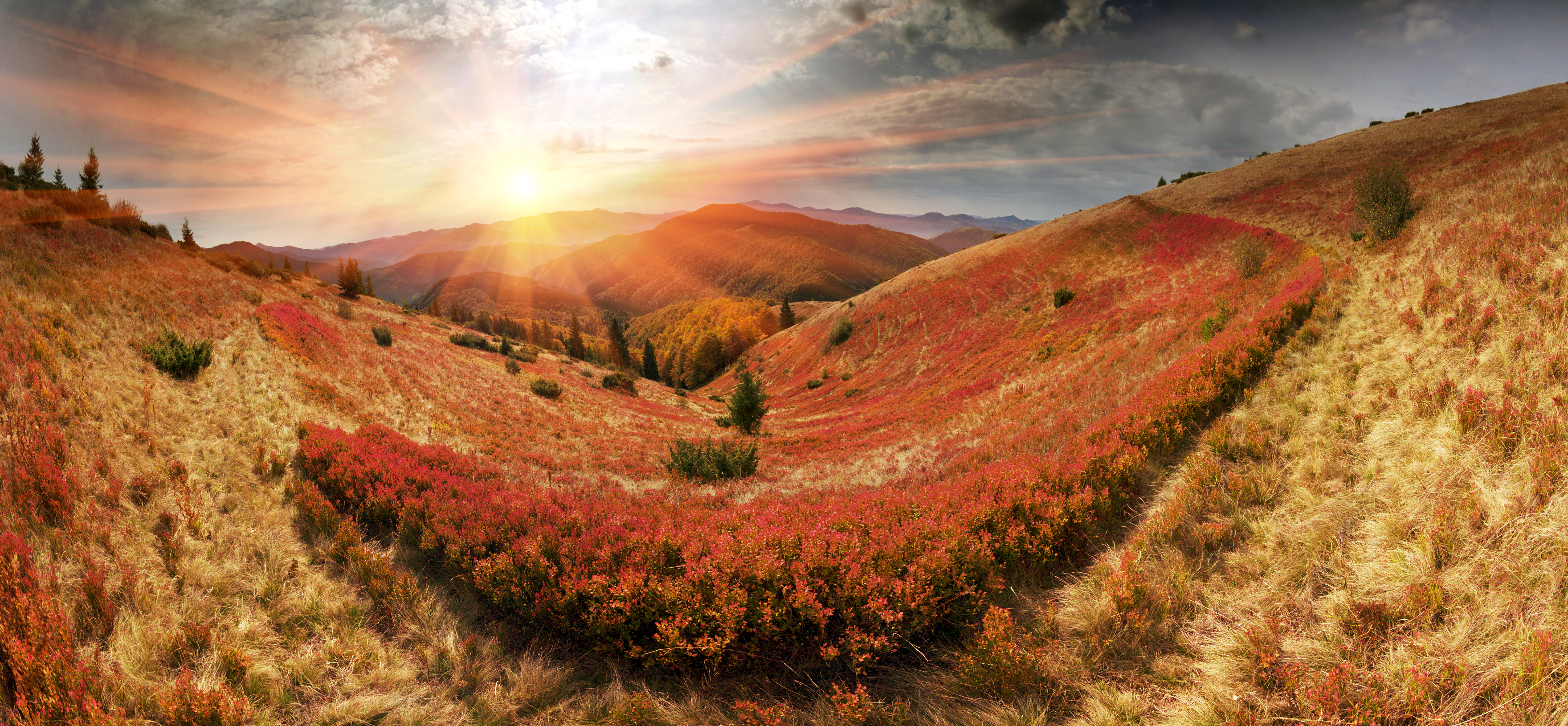 Handy-Wallpaper Landschaft, Natur, Herbst, Horizont, Sonnenaufgang, Sonnenstrahl, Erde/natur kostenlos herunterladen.
