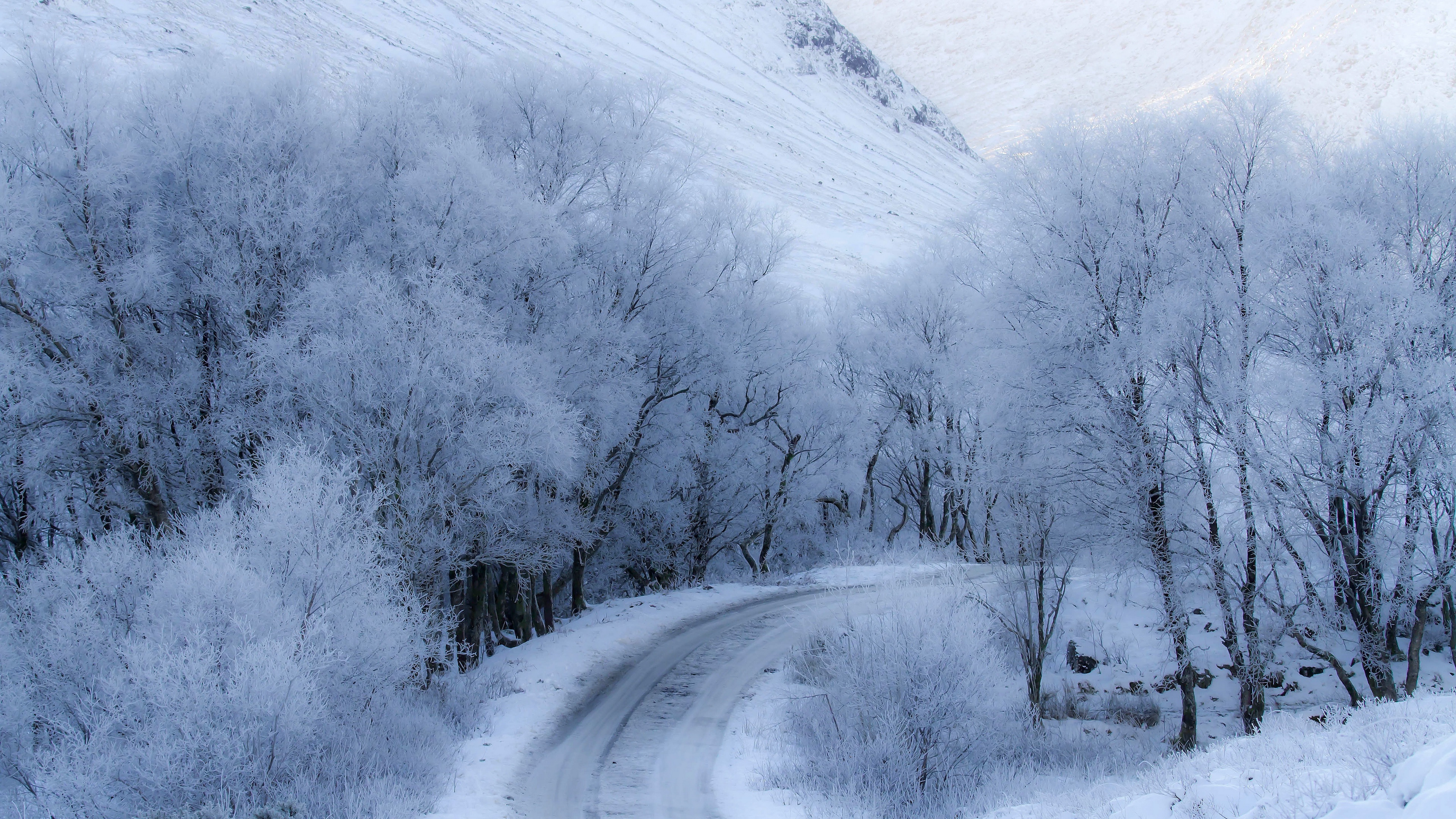 Скачать обои бесплатно Зима, Снег, Дорога, Земля/природа картинка на рабочий стол ПК