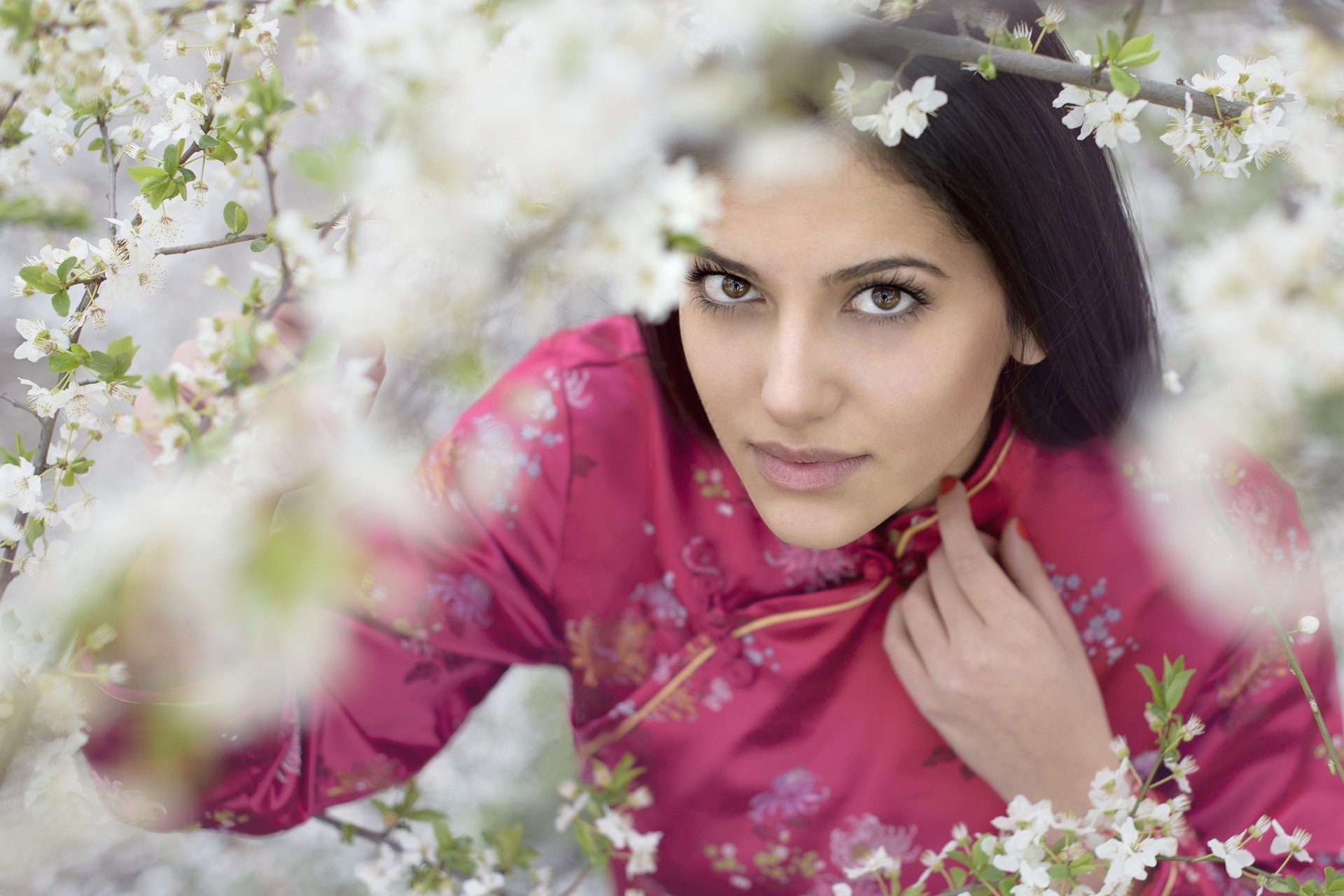 Laden Sie das Frühling, Kimono, Blüte, Brünette, Modell, Frauen, Weiße Blume, Braune Augen-Bild kostenlos auf Ihren PC-Desktop herunter