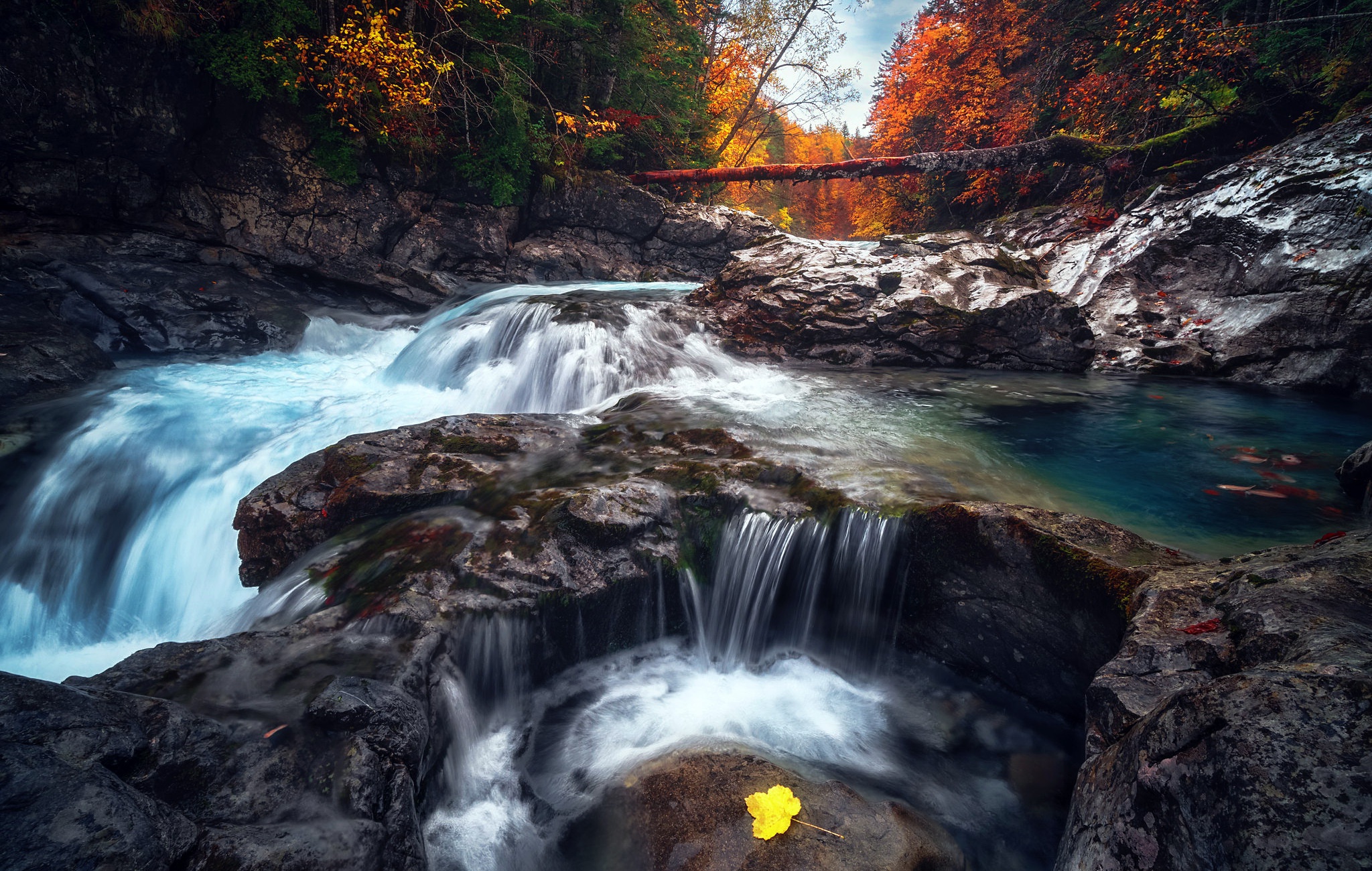 Скачать картинку Река, Осень, Лес, Земля/природа в телефон бесплатно.