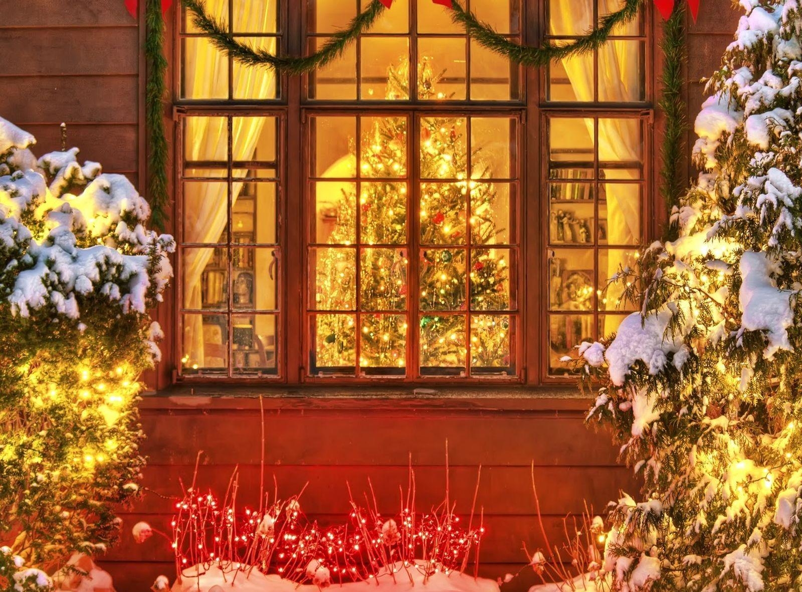 Download mobile wallpaper Snow, Light, Christmas, Holiday, Window, Christmas Tree for free.