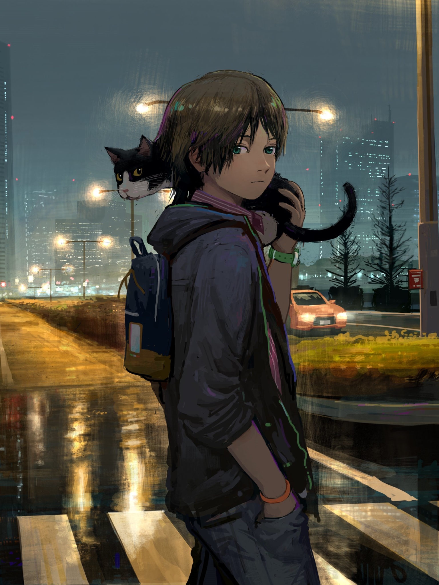 Download mobile wallpaper Anime, Night, Cat, Boy for free.
