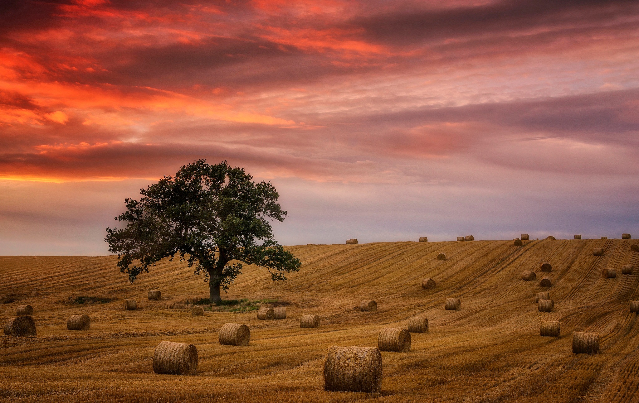 Free download wallpaper Nature, Sunset, Summer, Tree, Earth, Field, Cloud, Haystack, Lonely Tree on your PC desktop