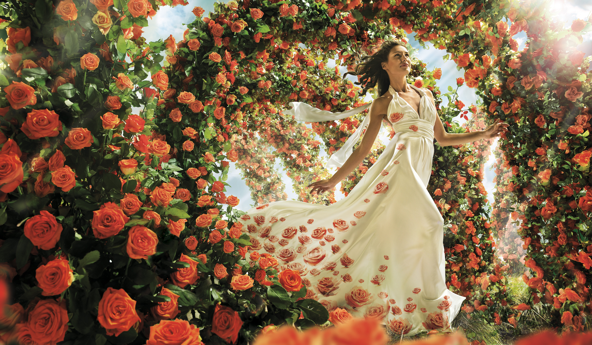 women, artistic, brunette, dress, flower, orange flower, rose, white dress HD wallpaper