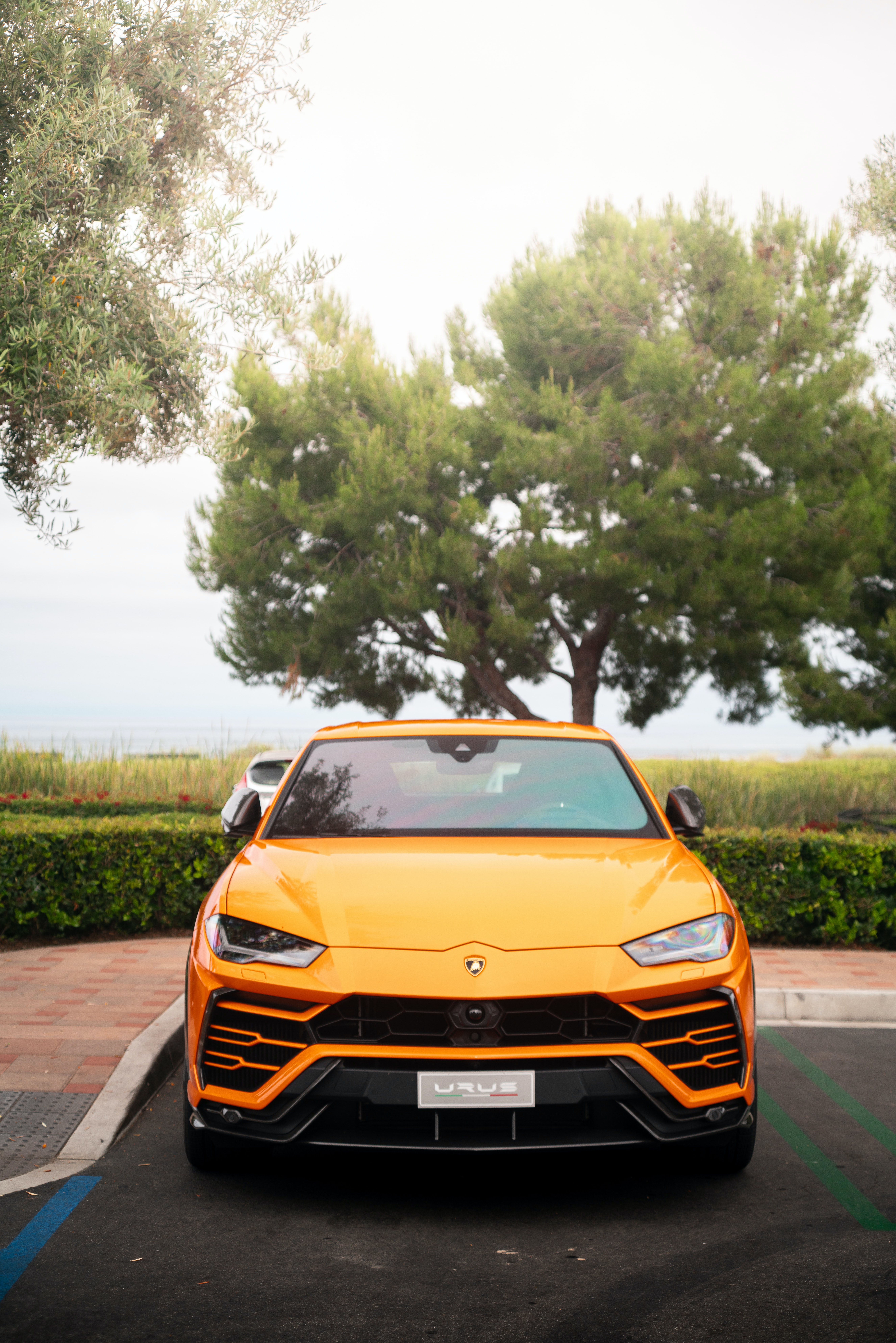 Lamborghini Urus Vertical Background