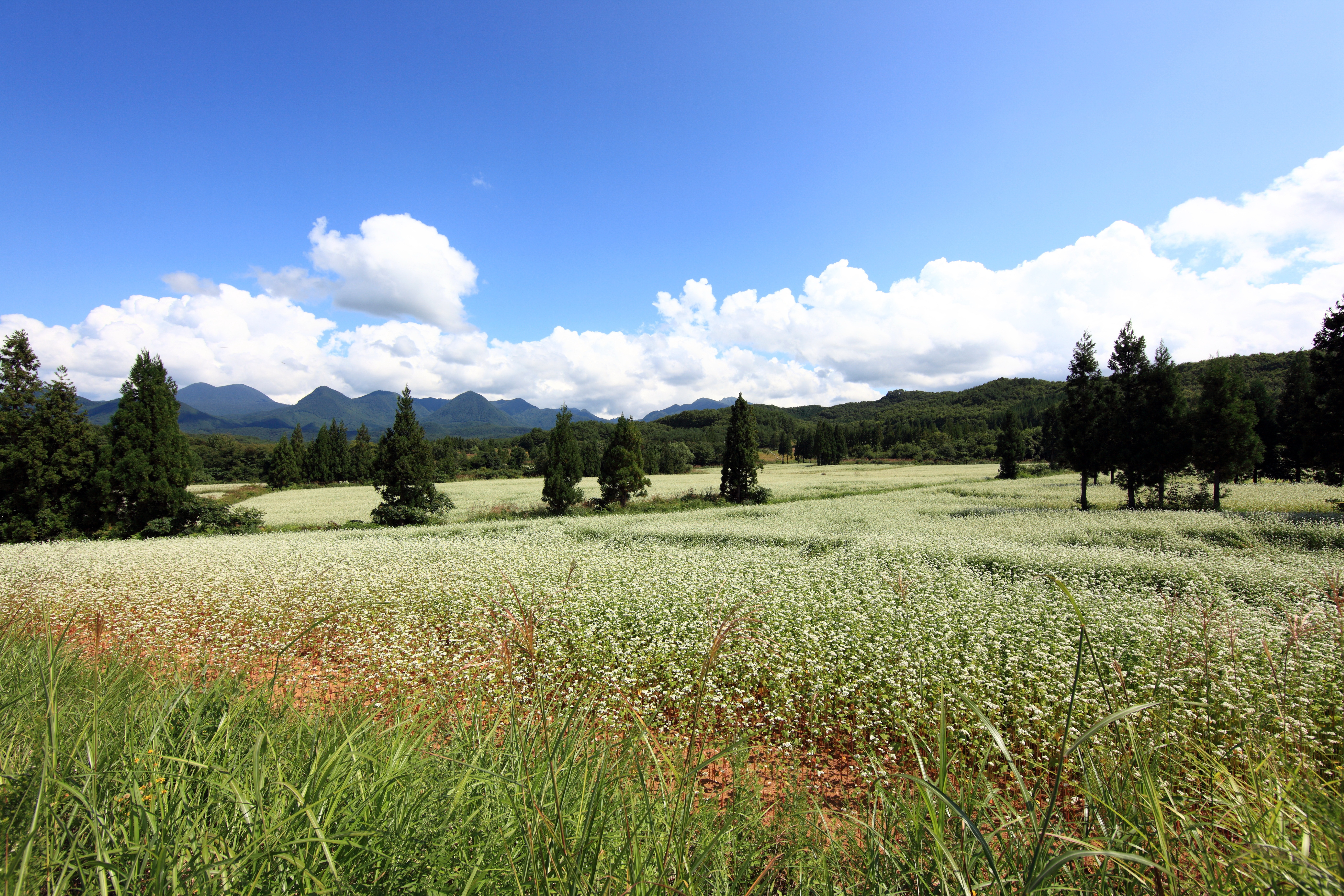 Téléchargez gratuitement l'image Paysage, Terre/nature sur le bureau de votre PC