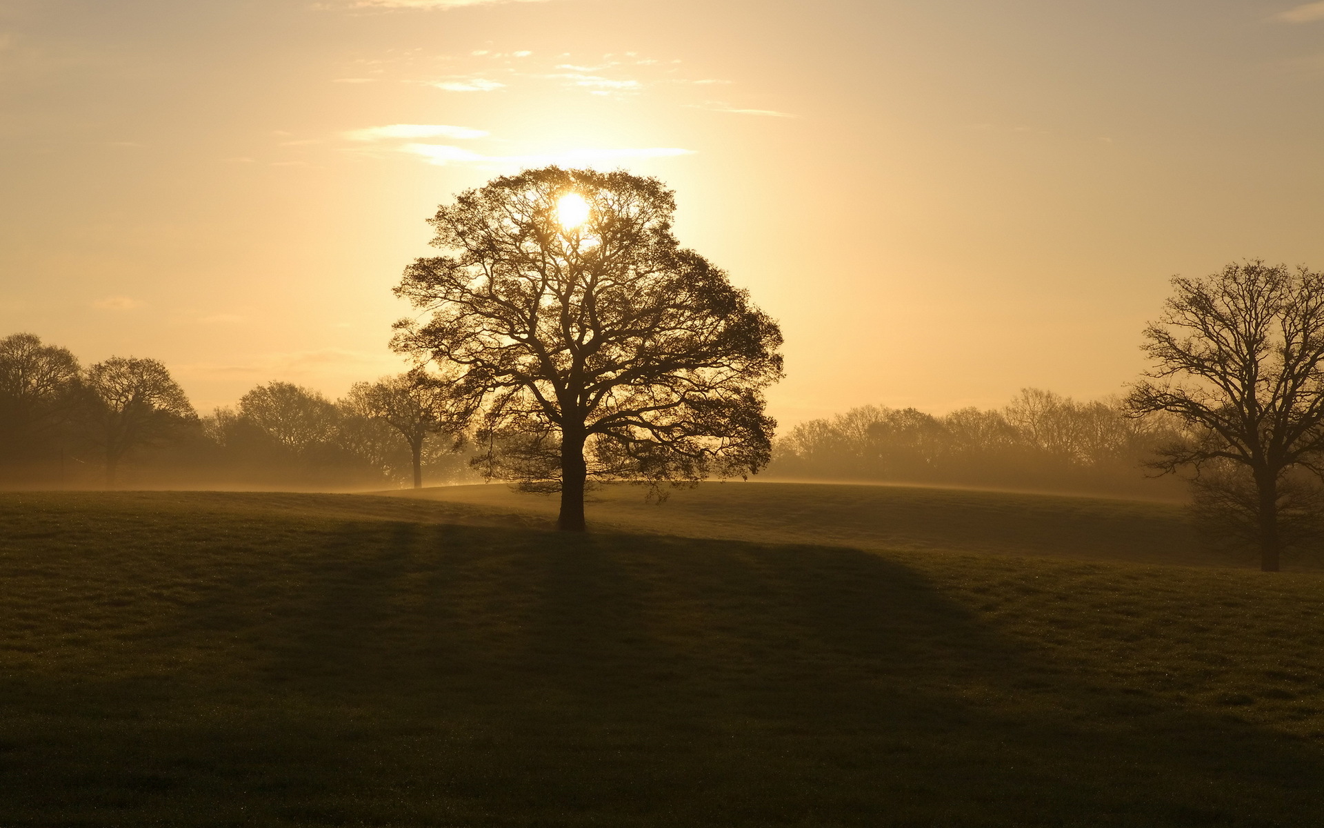 Descarga gratis la imagen Naturaleza, Hierba, Sol, Amanecer, Árbol, Rayo De Sol, Tierra/naturaleza en el escritorio de tu PC