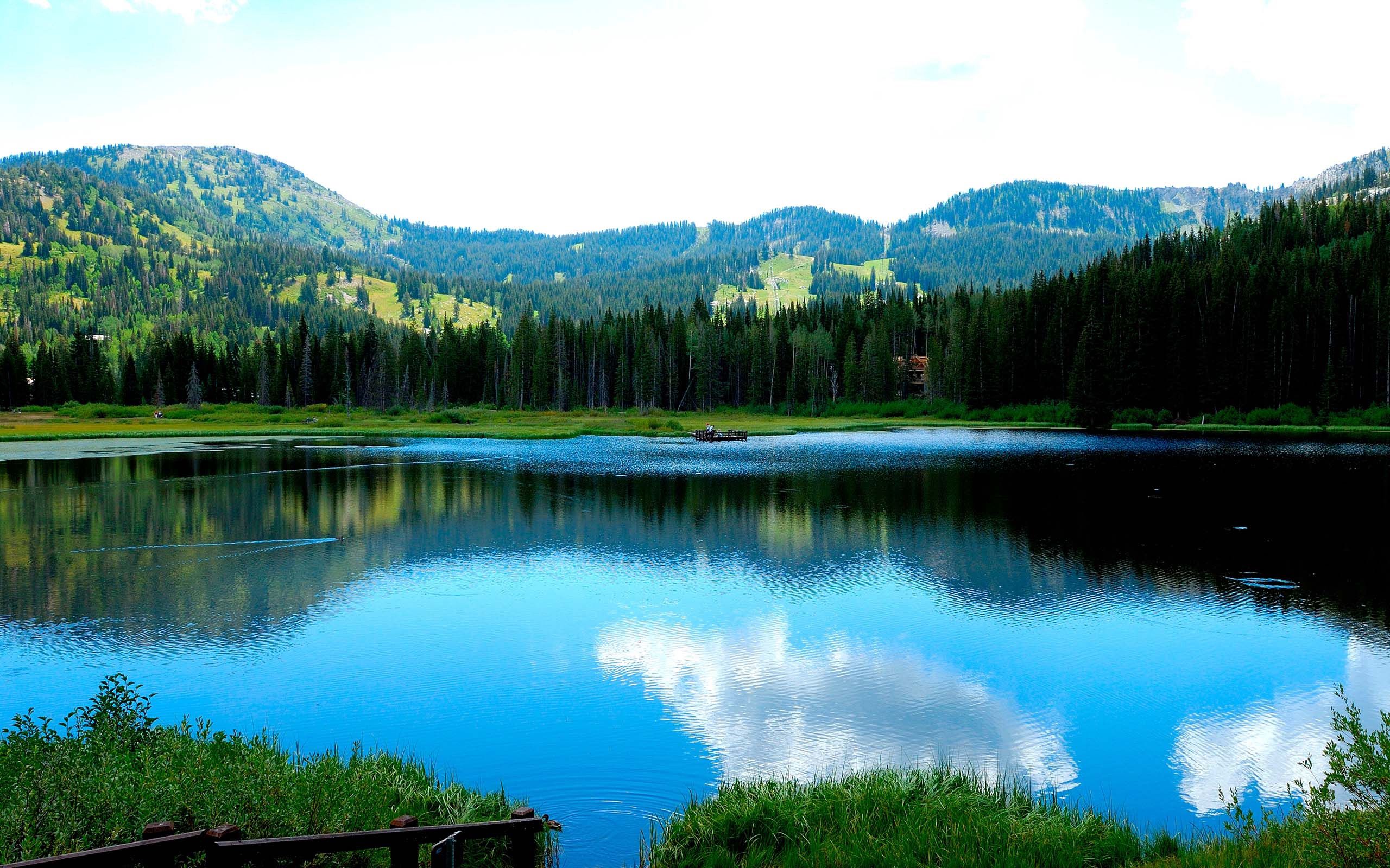 Téléchargez gratuitement l'image Herbe, Nature, Lac, Arbres, Montagnes sur le bureau de votre PC