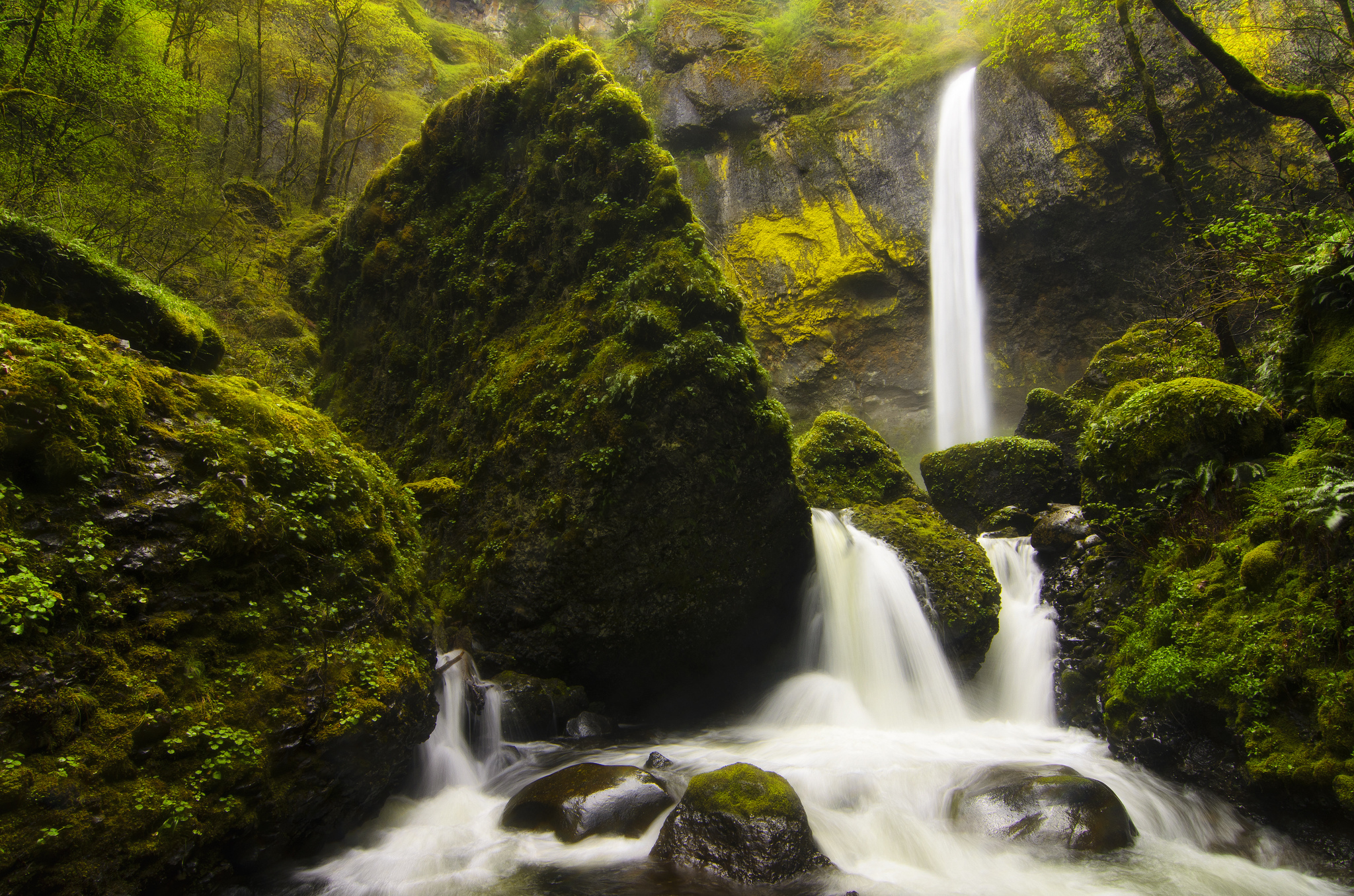 Handy-Wallpaper Fluss, Szene, Wasserfall, Wasserfälle, Wald, Erde/natur, Landschaft kostenlos herunterladen.