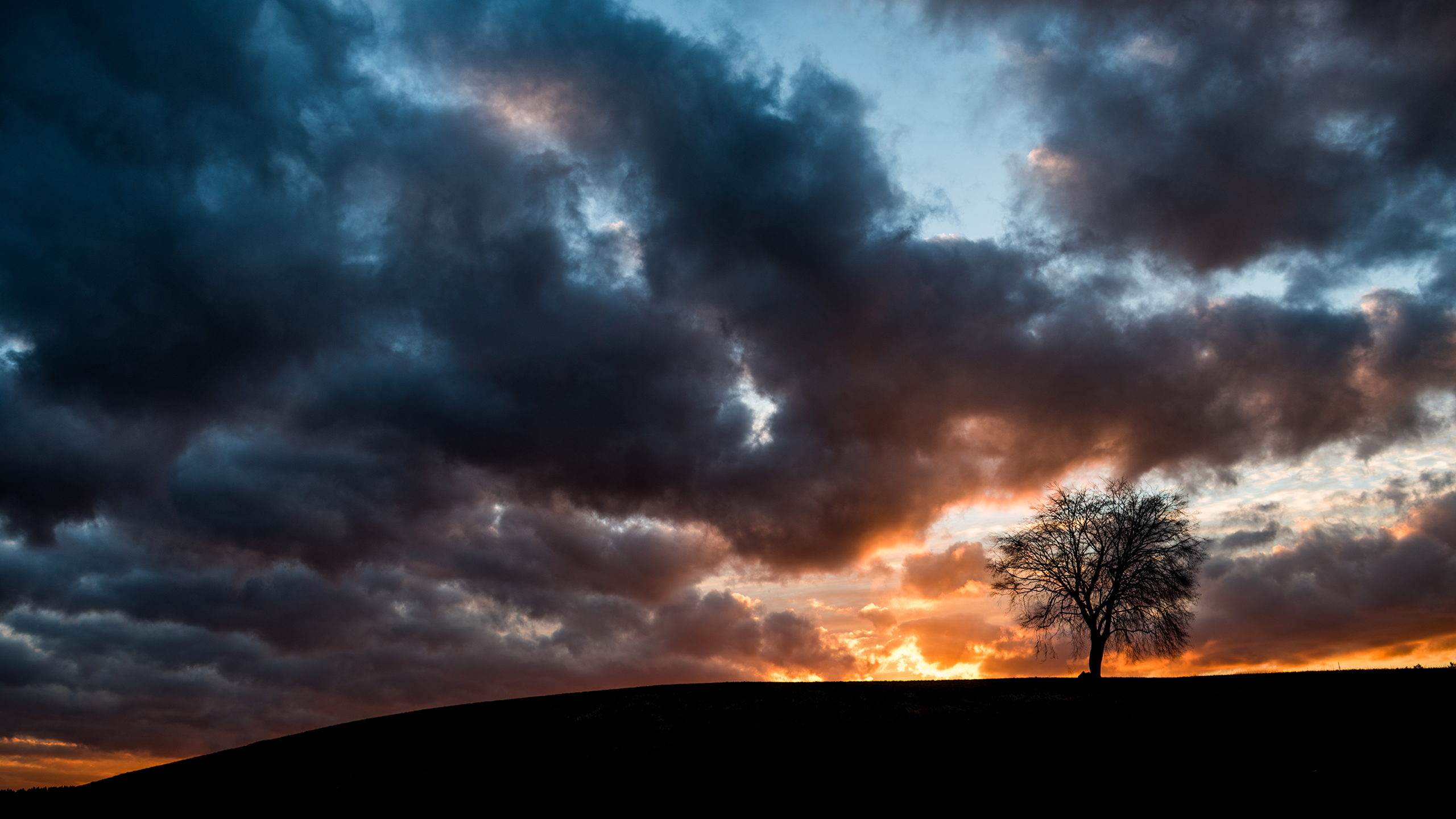 Download mobile wallpaper Trees, Sunset, Sky, Dark, Silhouette, Tree, Earth, Cloud for free.