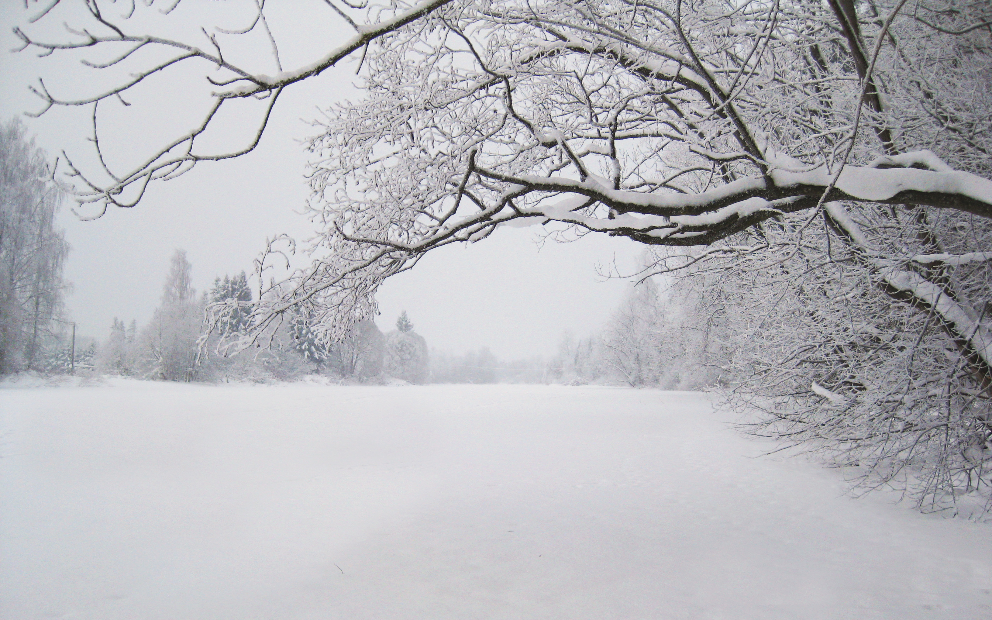 Descarga gratuita de fondo de pantalla para móvil de Invierno, Tierra/naturaleza.