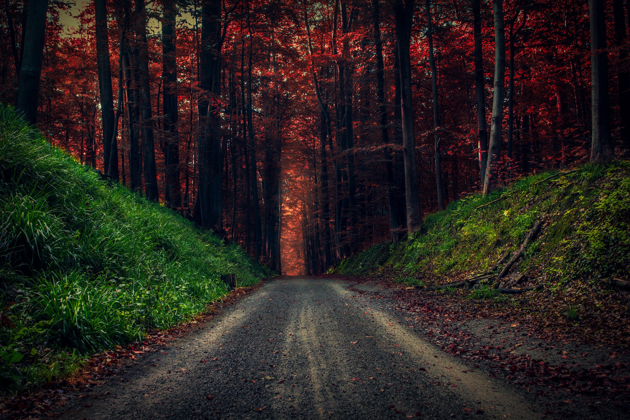 Download mobile wallpaper Nature, Road, Forest, Tree, Fall, Man Made, Dirt Road for free.
