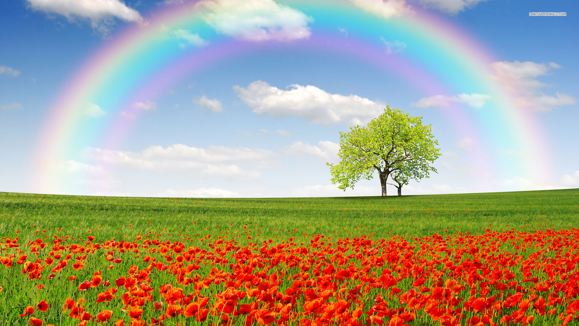 Laden Sie das Regenbogen, Erde/natur-Bild kostenlos auf Ihren PC-Desktop herunter