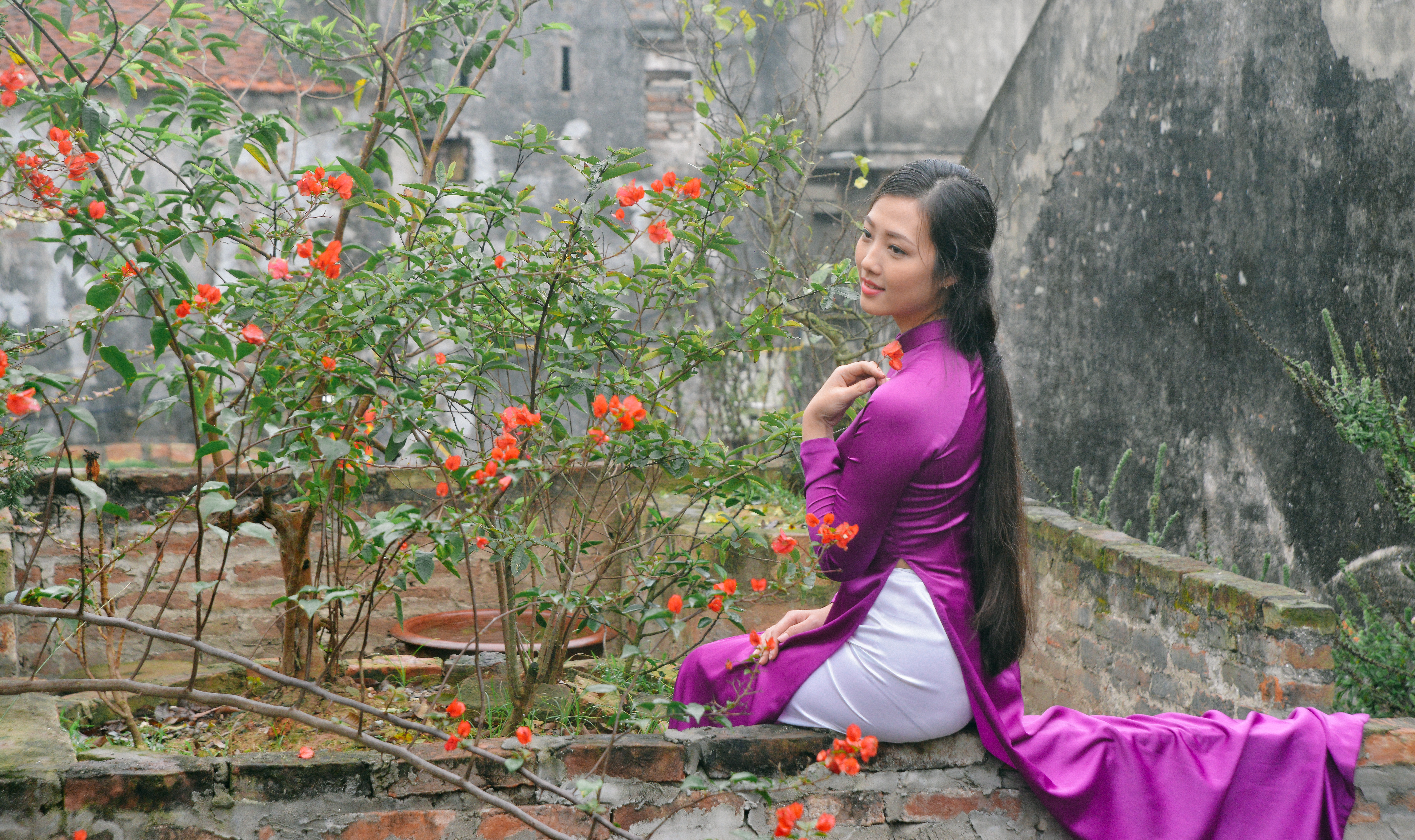 Descarga gratis la imagen Primavera, Modelo, Mujeres, Asiática, Vietnamita, Ao Dai en el escritorio de tu PC