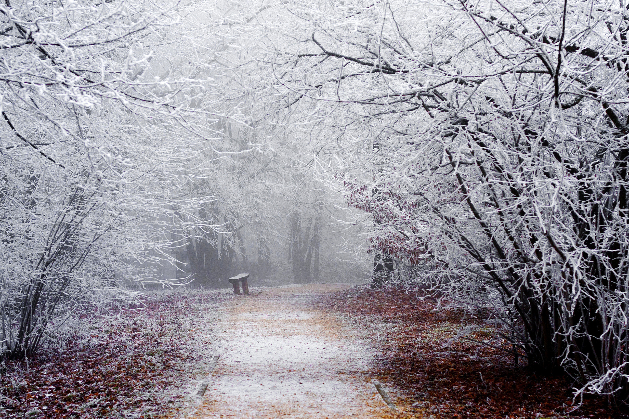 Free download wallpaper Winter, Park, Path, Bench, Photography on your PC desktop