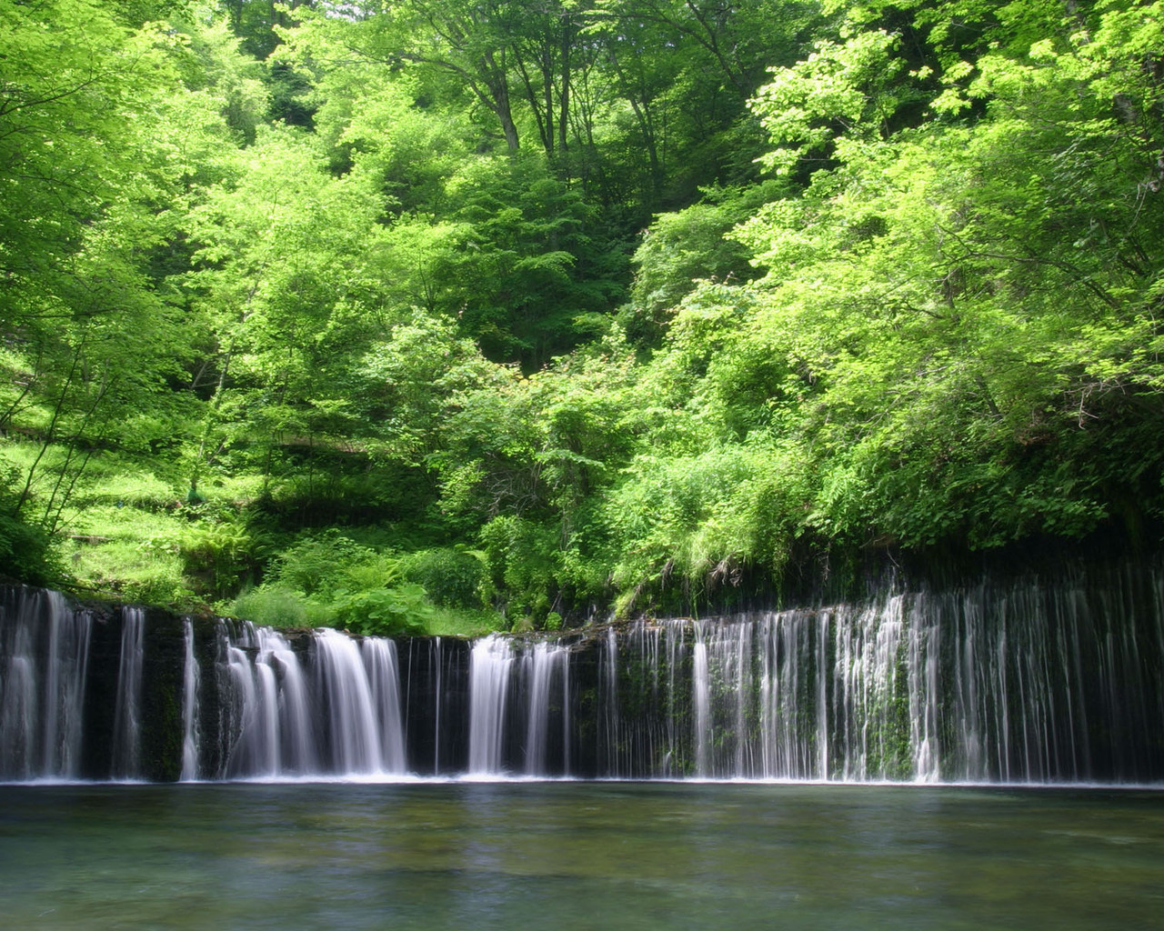 無料モバイル壁紙水, 木, 滝, 風景をダウンロードします。