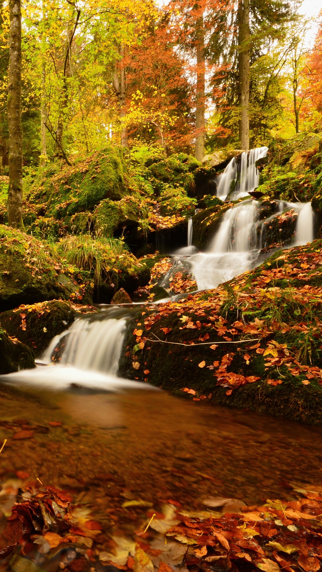 Handy-Wallpaper Natur, Herbst, Wasserfälle, Wasserfall, Wald, Blatt, Strom, Erde/natur kostenlos herunterladen.