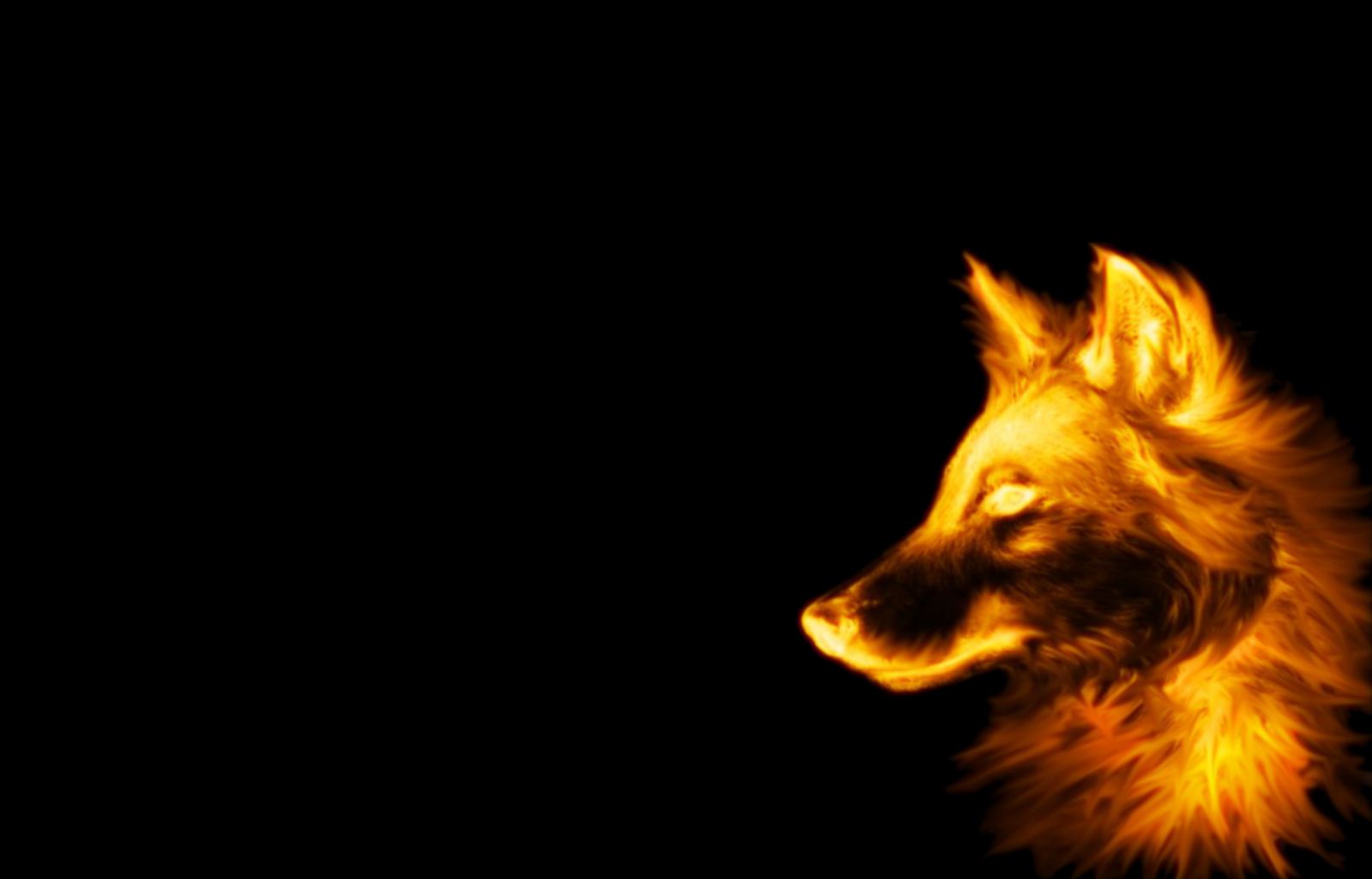 Laden Sie das Tiere, Wolf-Bild kostenlos auf Ihren PC-Desktop herunter