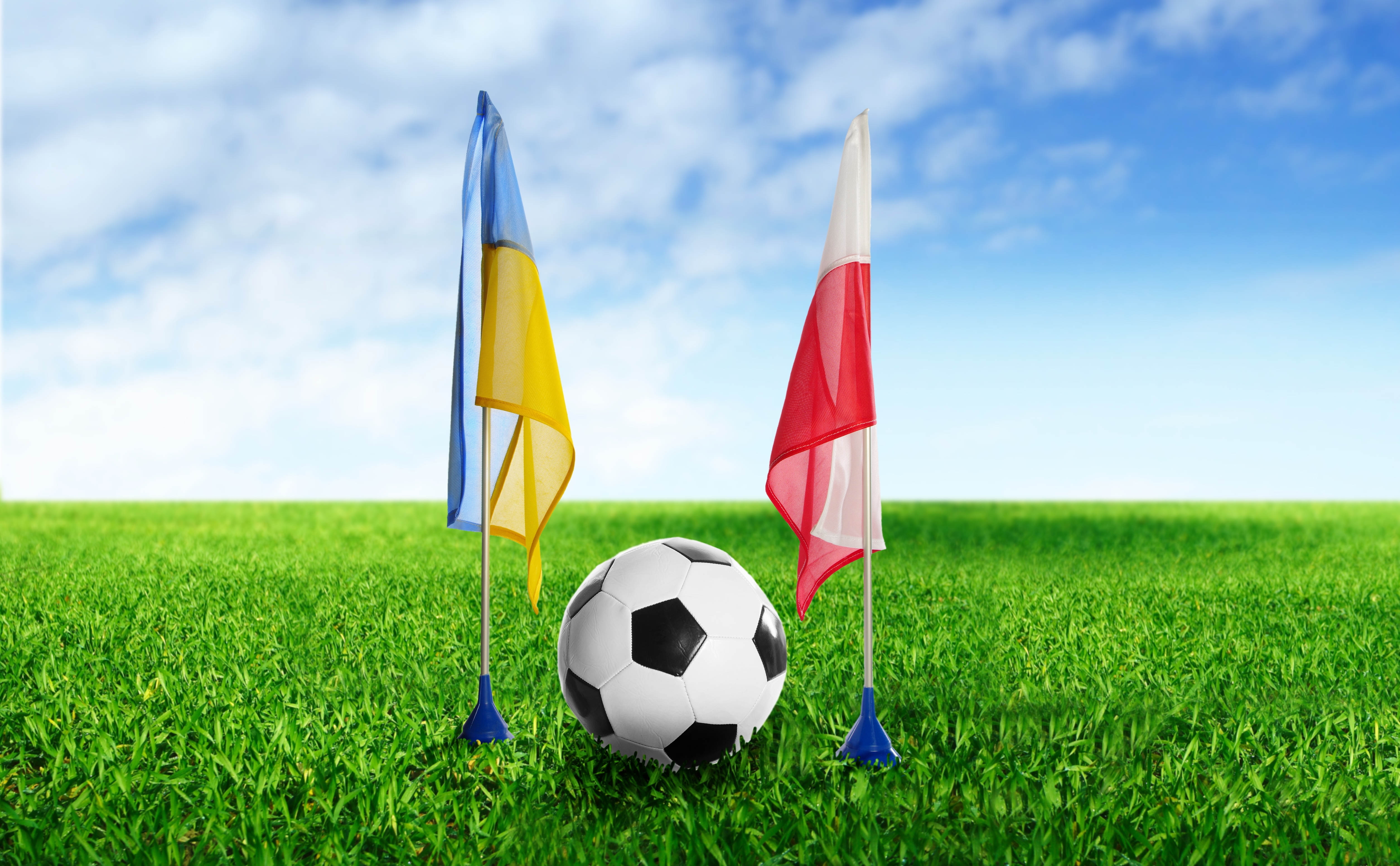 56780 télécharger l'image sport, herbe, football américain, drapeaux, pologne, ballon, balle, ukraine - fonds d'écran et économiseurs d'écran gratuits