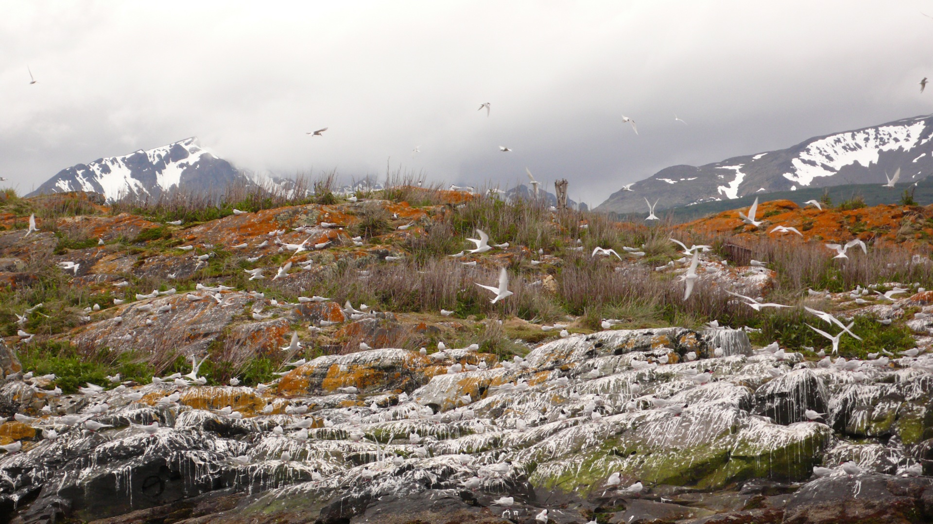 Handy-Wallpaper Landschaft, Erde/natur kostenlos herunterladen.