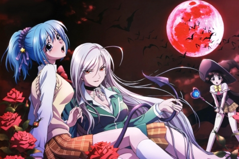 Download mobile wallpaper Rosario + Vampire, Anime for free.
