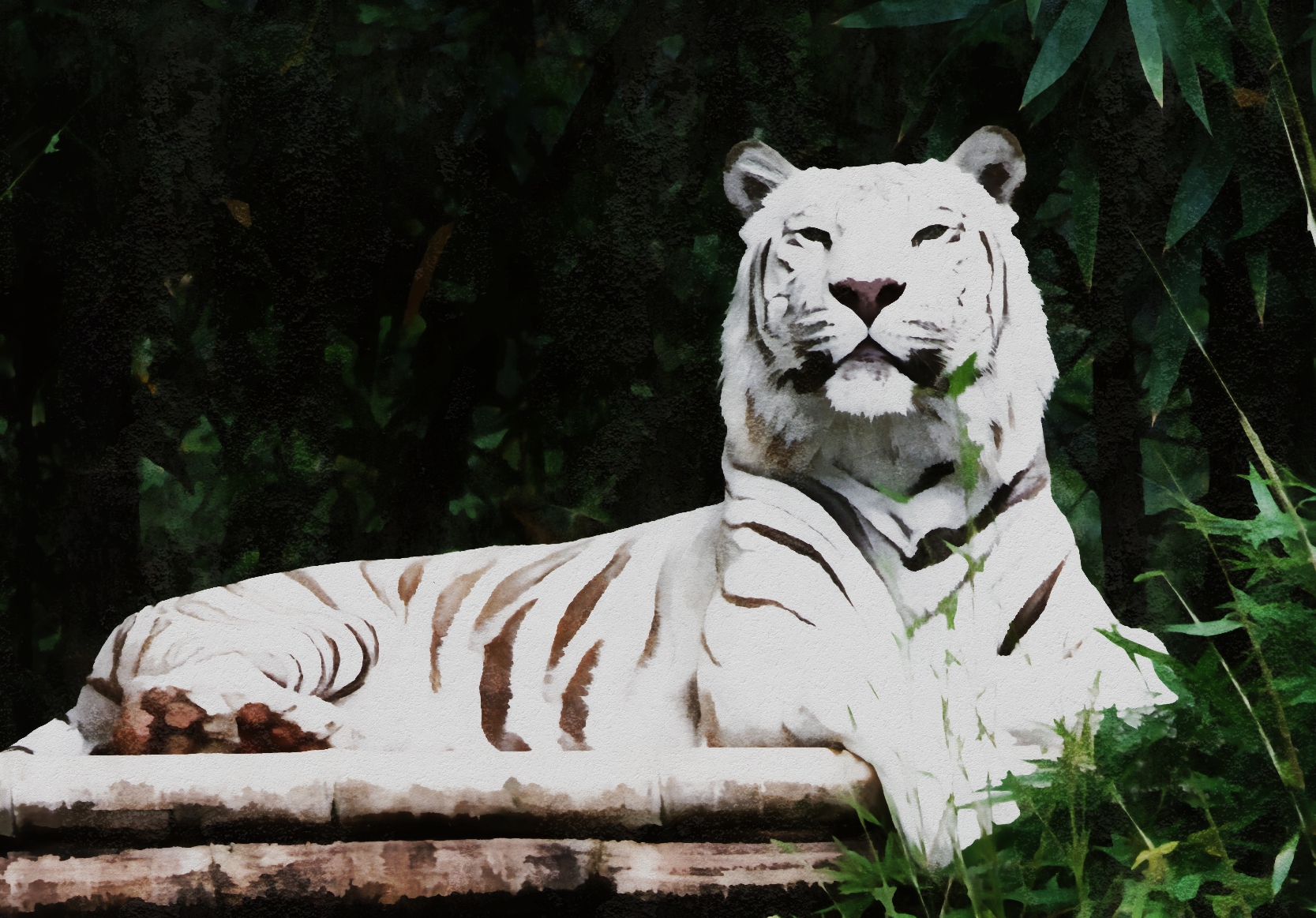 Baixar papel de parede para celular de Animais, Gatos, Tigre, Tigre Branco, Jardim Zoológico, Deitado, Olhar Fixamente gratuito.