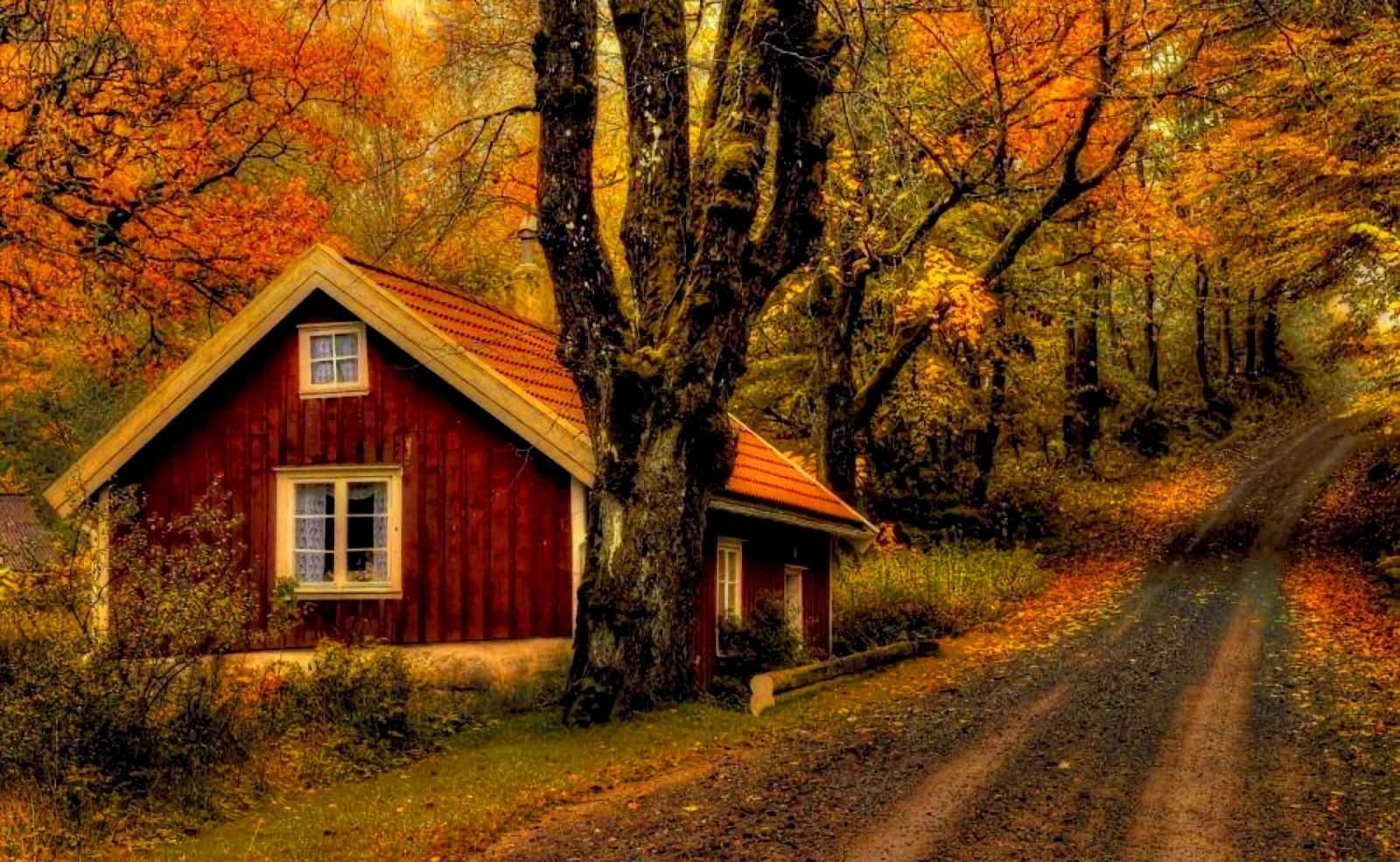 Download mobile wallpaper Road, Forest, Tree, Fall, House, Man Made, Dirt Road for free.