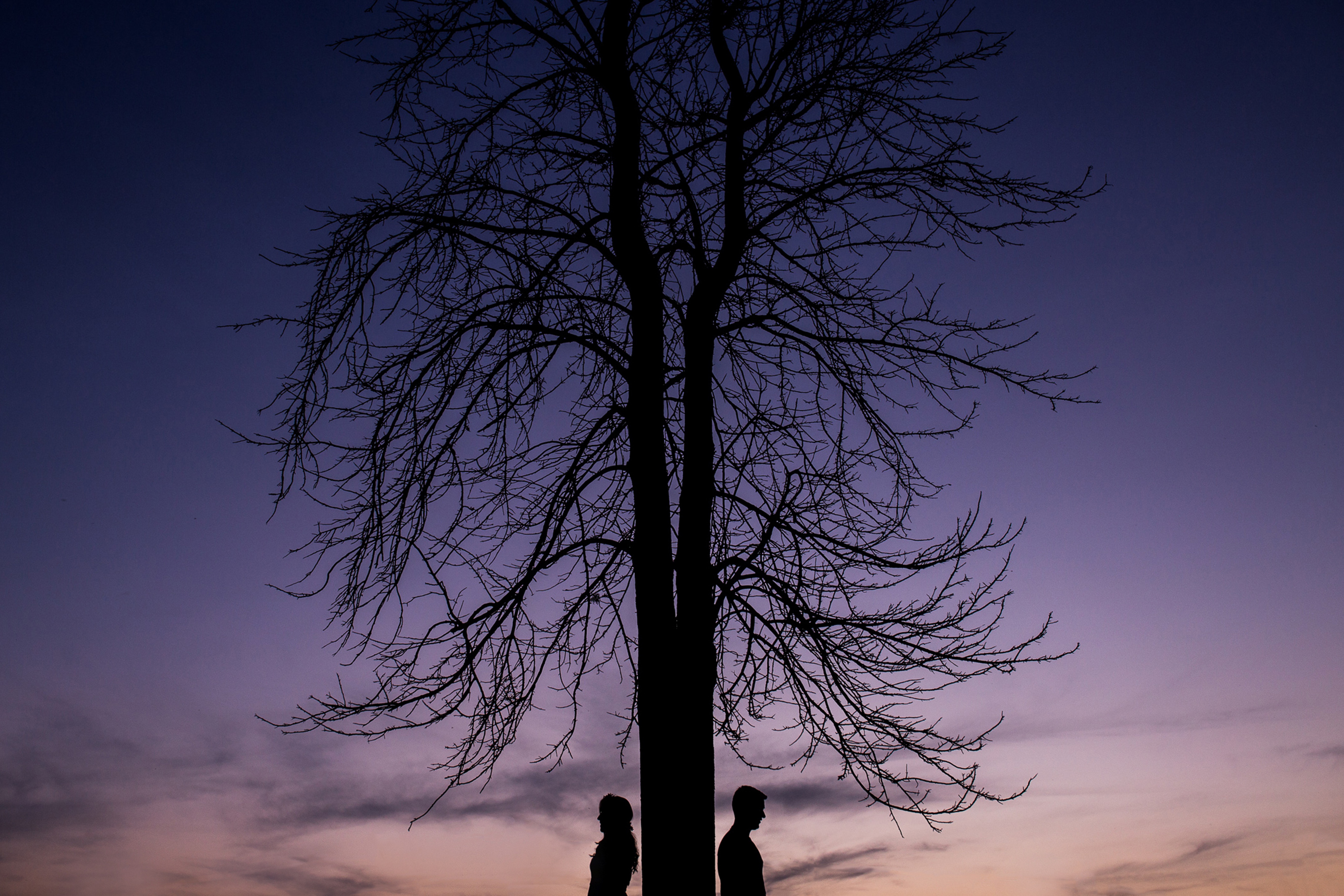 Free download wallpaper Pair, Tree, Wood, Couple, Silhouettes, Love on your PC desktop