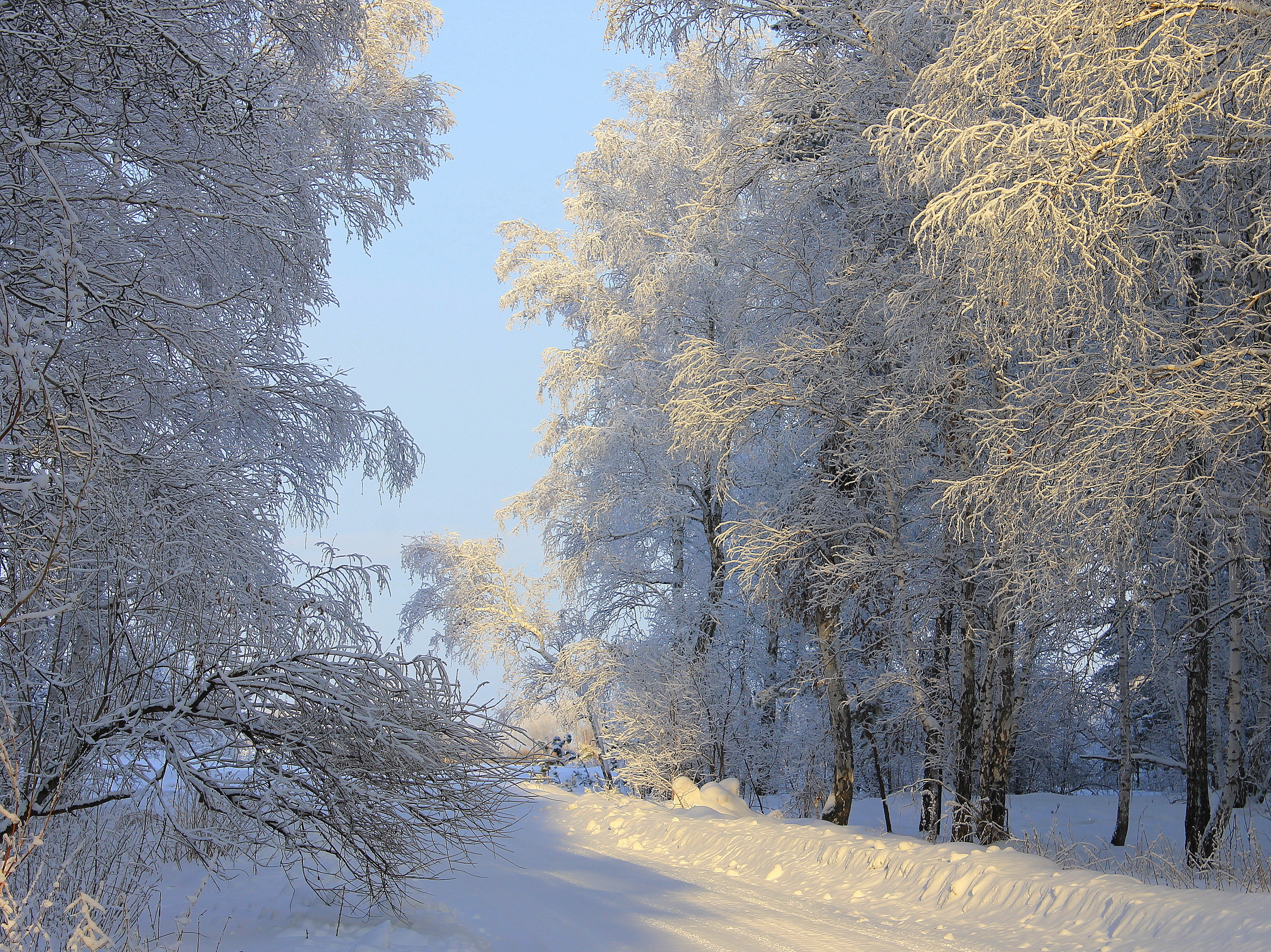 Téléchargez des papiers peints mobile Hiver, Terre/nature gratuitement.