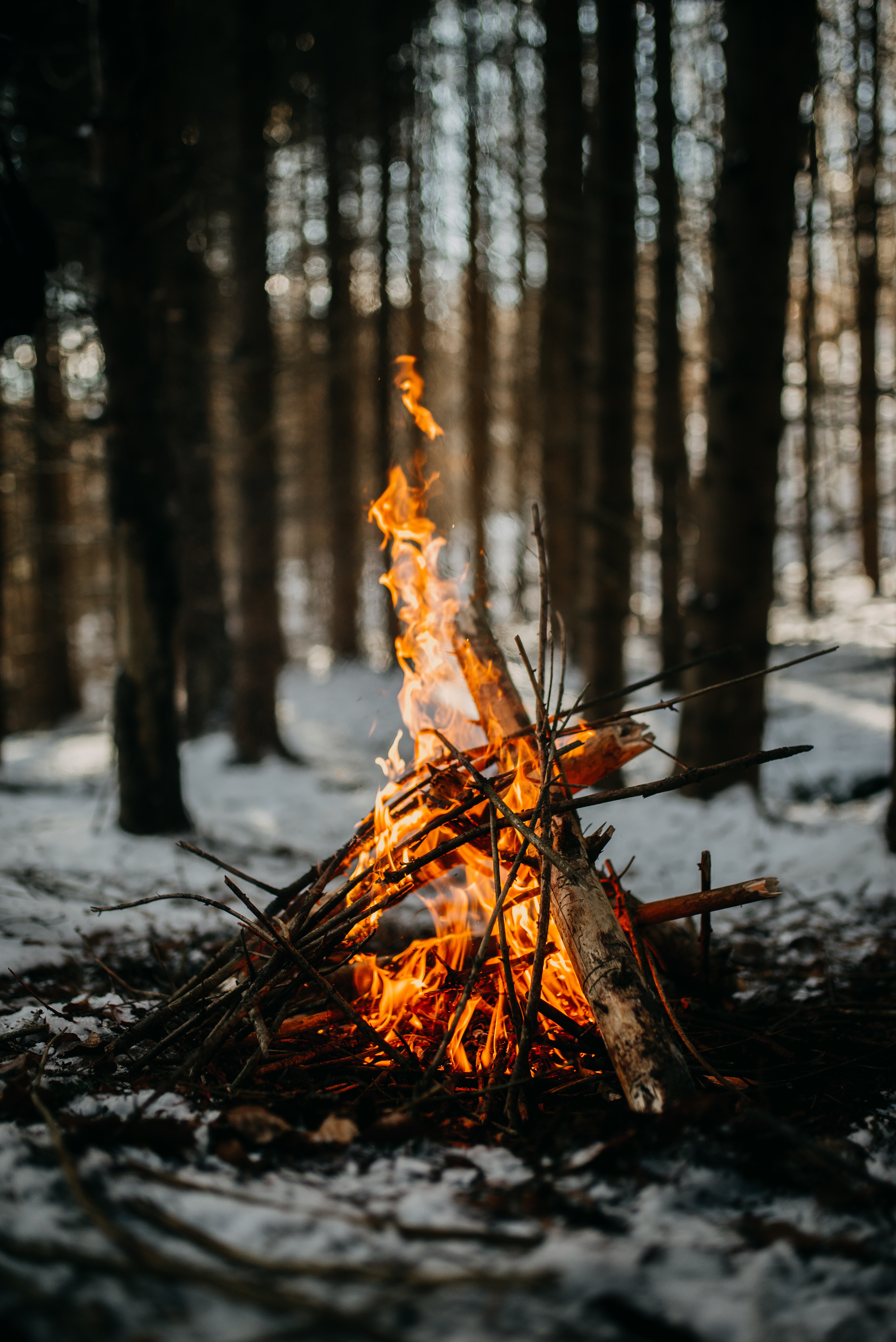 bonfire, fire, flame, miscellanea, miscellaneous, branches High Definition image