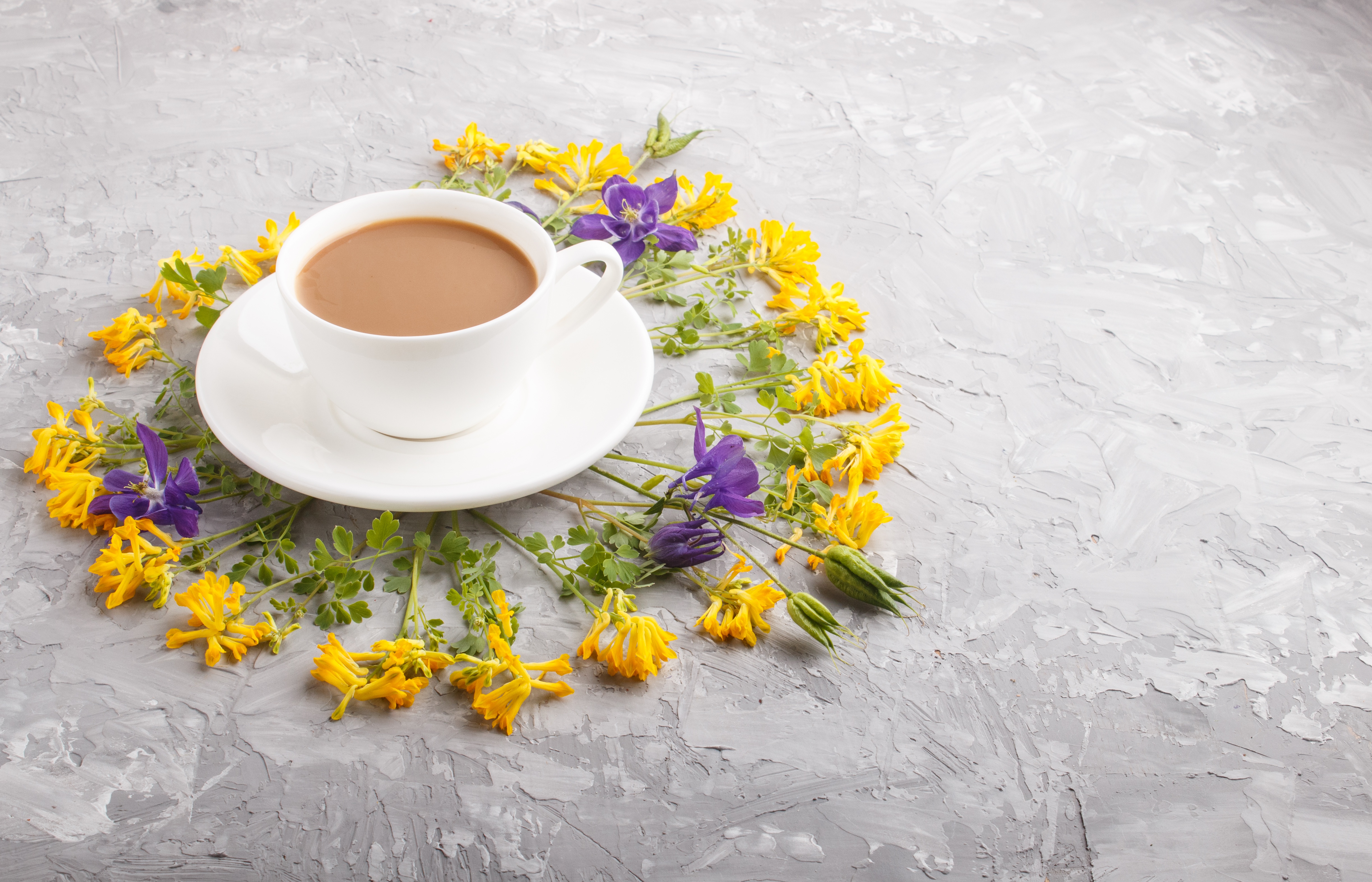 Download mobile wallpaper Food, Coffee, Still Life, Flower, Cup, Drink for free.