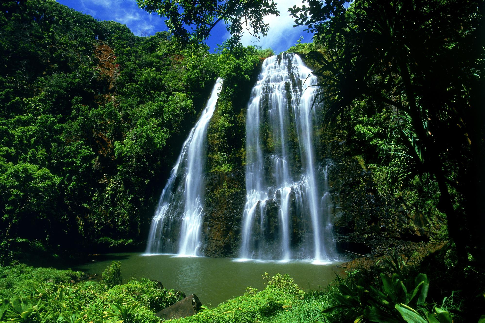 384889 скачать картинку земля/природа, водопад, зеленый, гавайи, кауаи, природа, дерево, растительность, вода, водопады - обои и заставки бесплатно