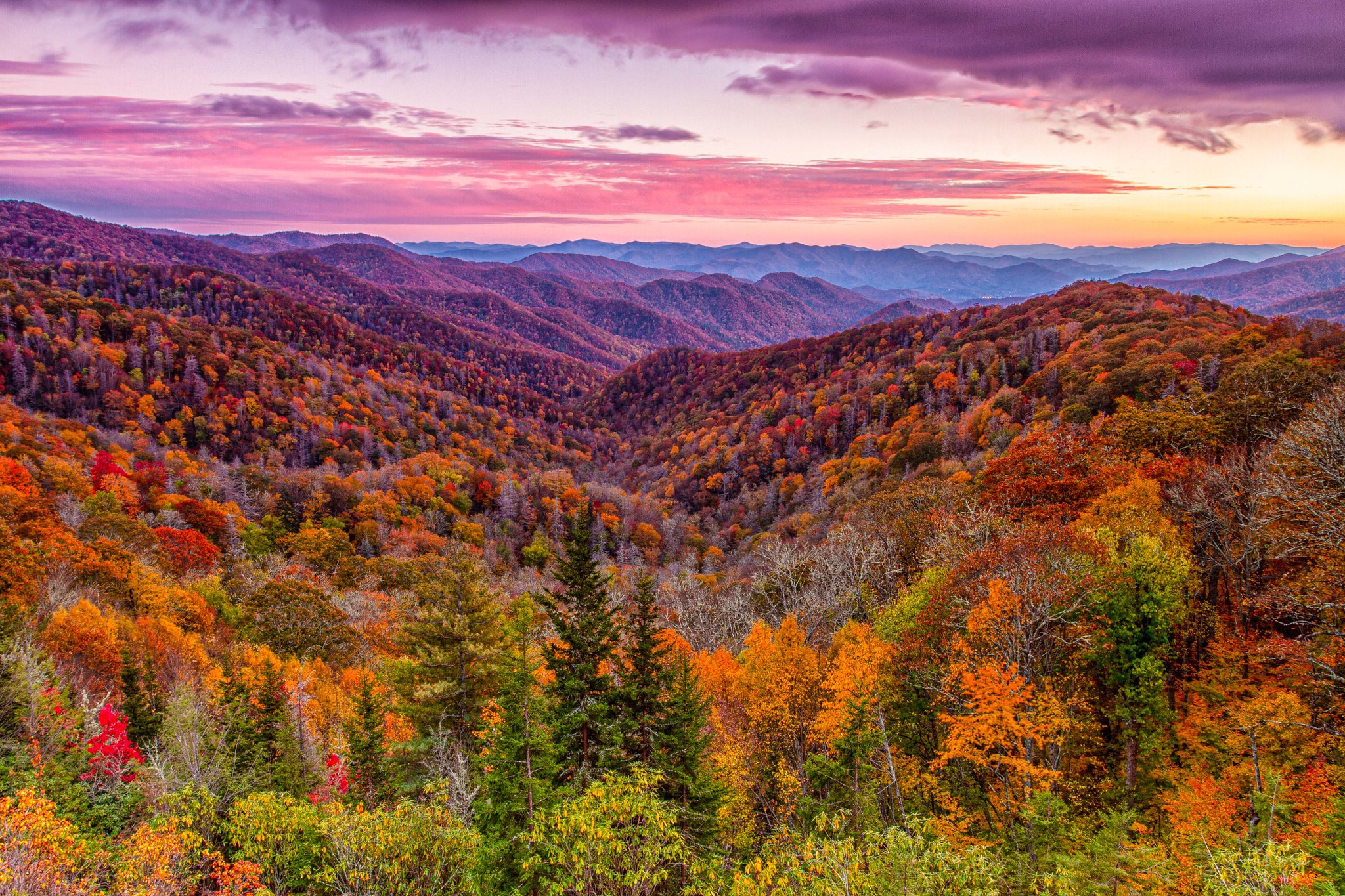 Скачать картинку Пейзаж, Природа, Осень, Гора, Лес, Земля/природа в телефон бесплатно.