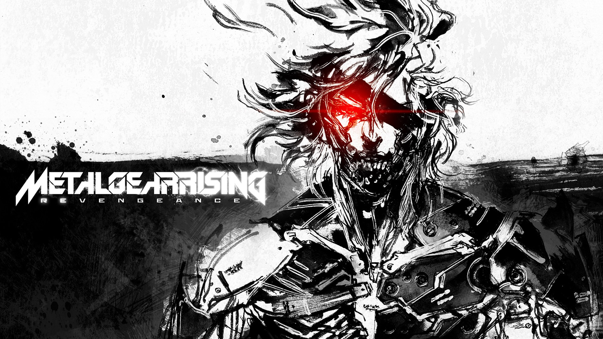 295298 Hintergrundbilder und Metal Gear Rising: Revengeance Bilder auf dem Desktop. Laden Sie  Bildschirmschoner kostenlos auf den PC herunter