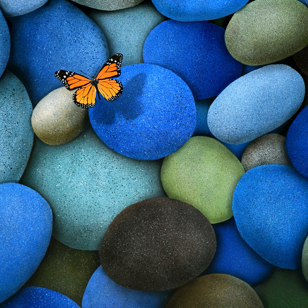 Download mobile wallpaper Butterfly, Stone, Animal for free.