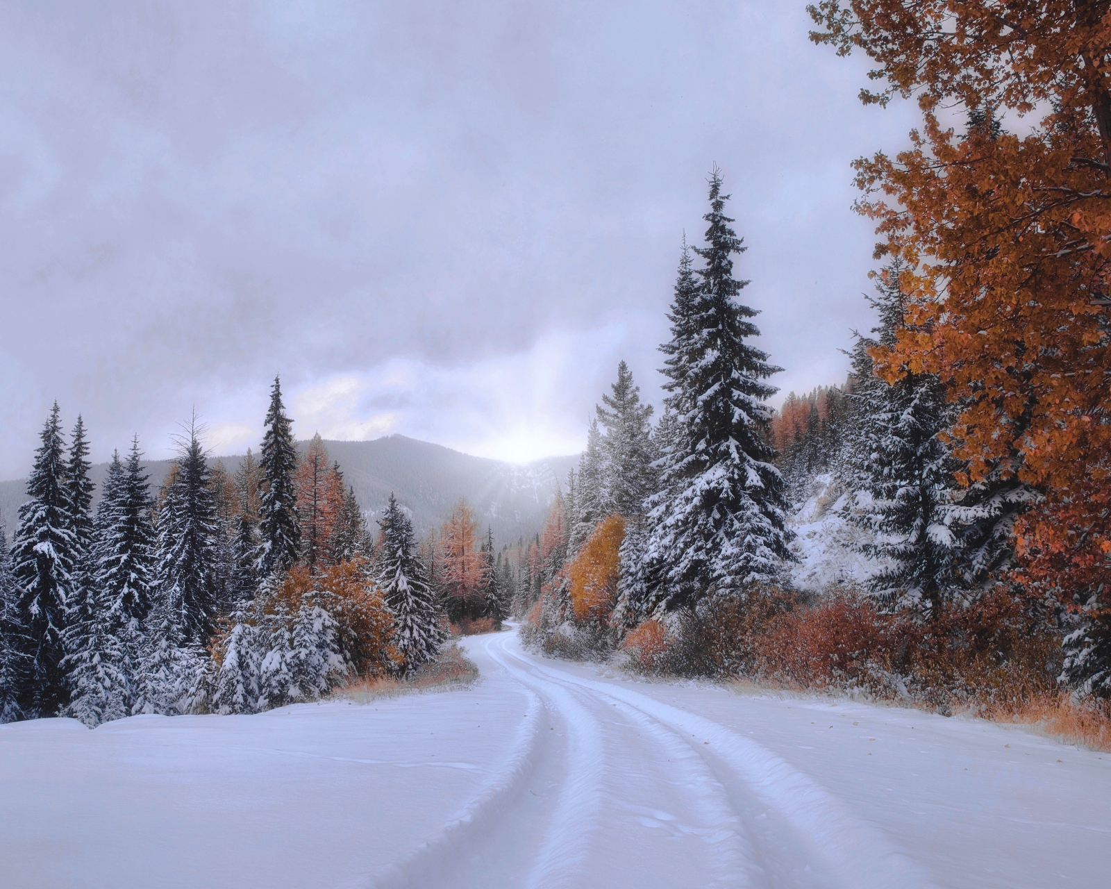 Handy-Wallpaper Herbst, Schnee, Wald, Fichte, Pfad, Weg, Montana, Erde/natur kostenlos herunterladen.
