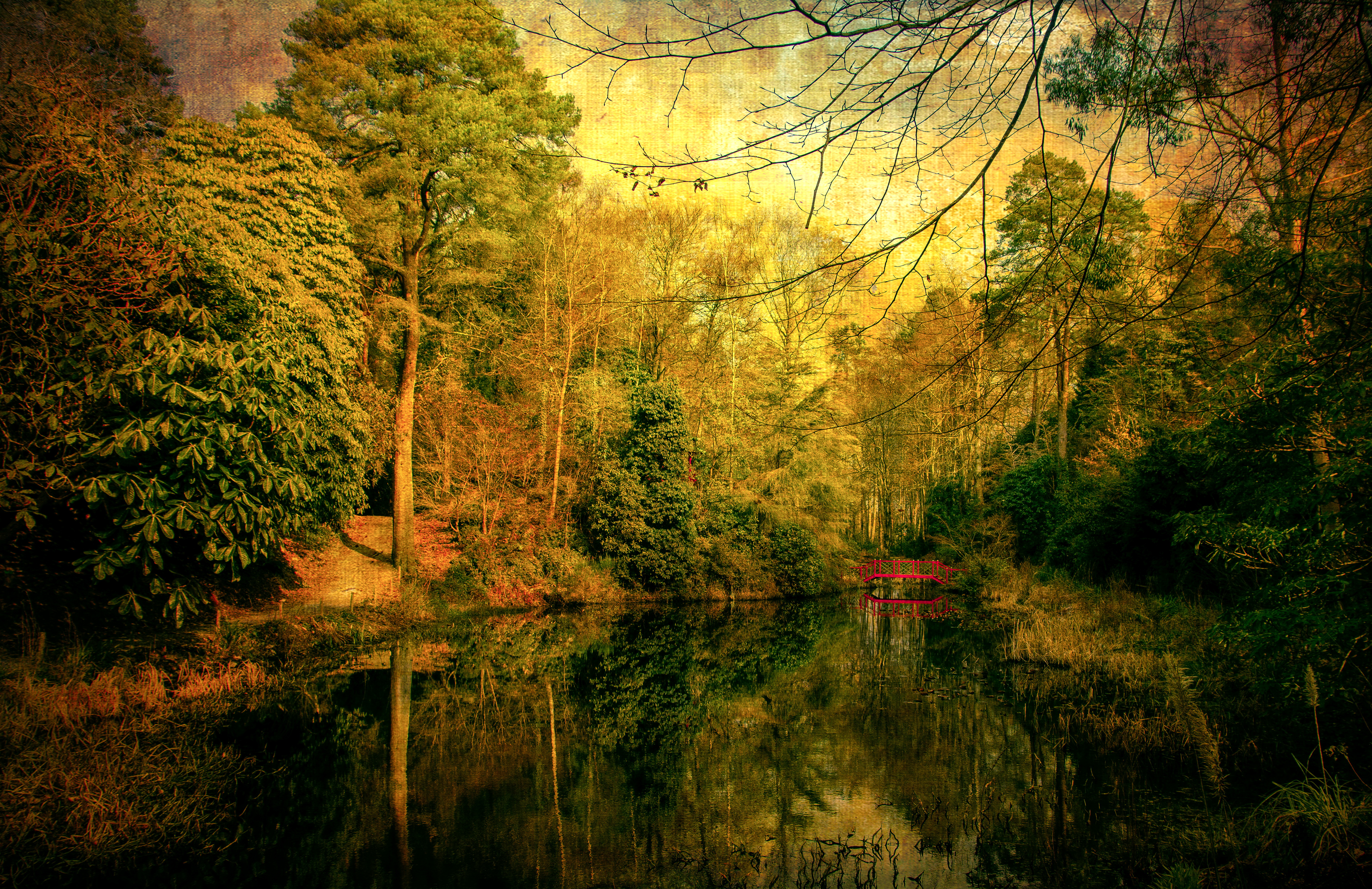 Laden Sie das Natur, See, Baum, Erde/natur, Spiegelung-Bild kostenlos auf Ihren PC-Desktop herunter