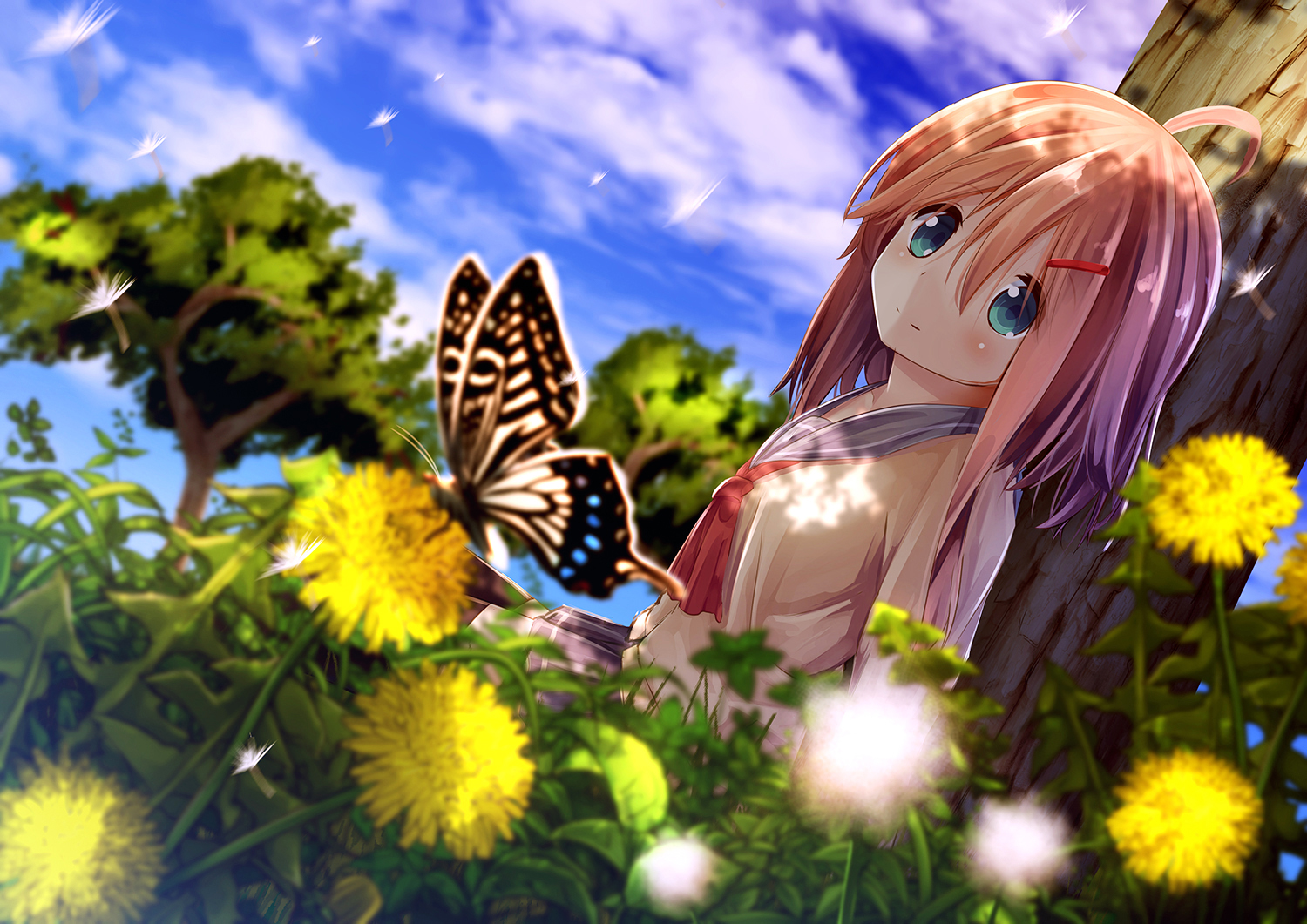 Free download wallpaper Anime, Sky, Butterfly, Cloud, Original on your PC desktop