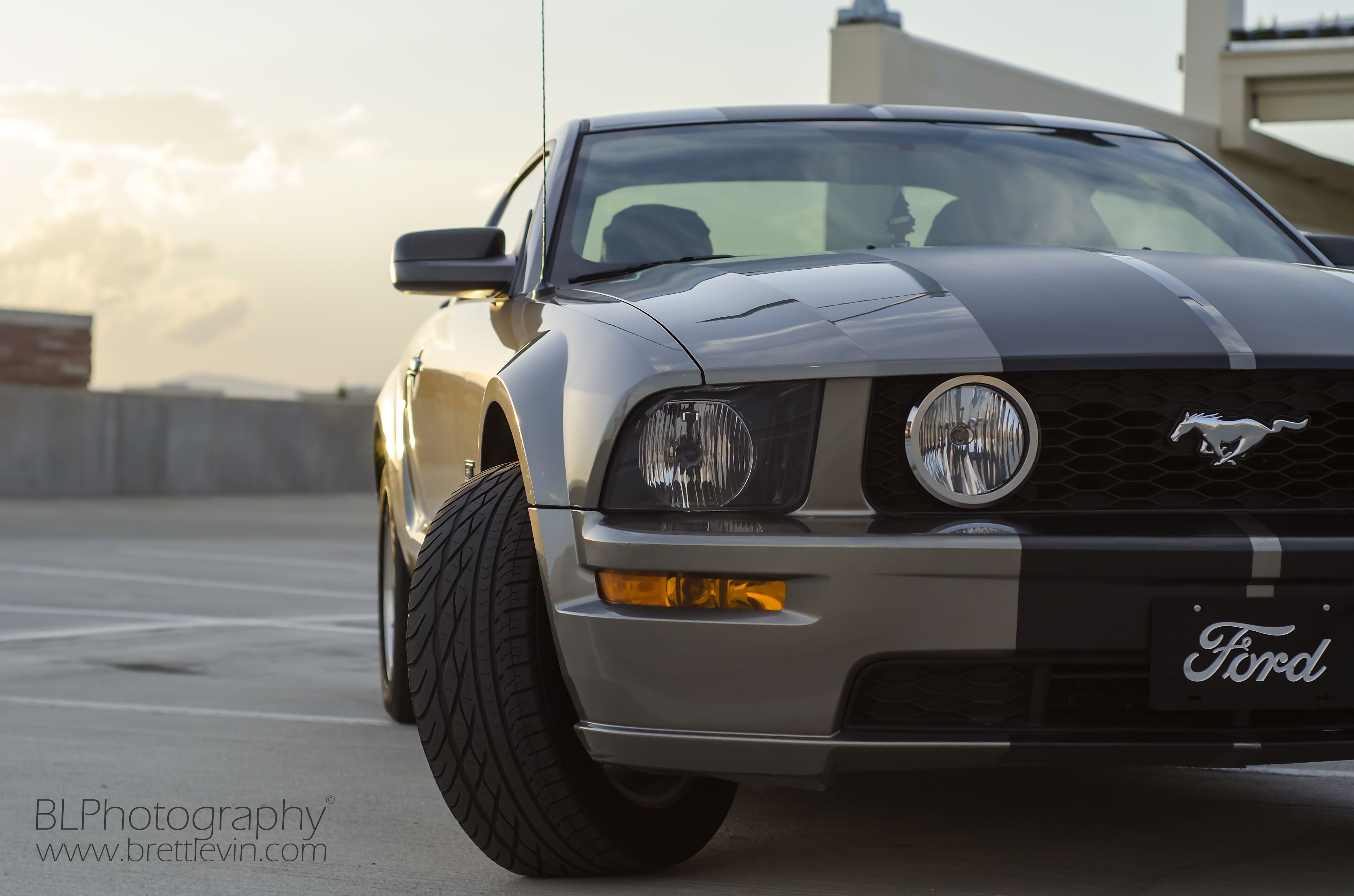 ford mustang gt, headlight, ford, cars, front view