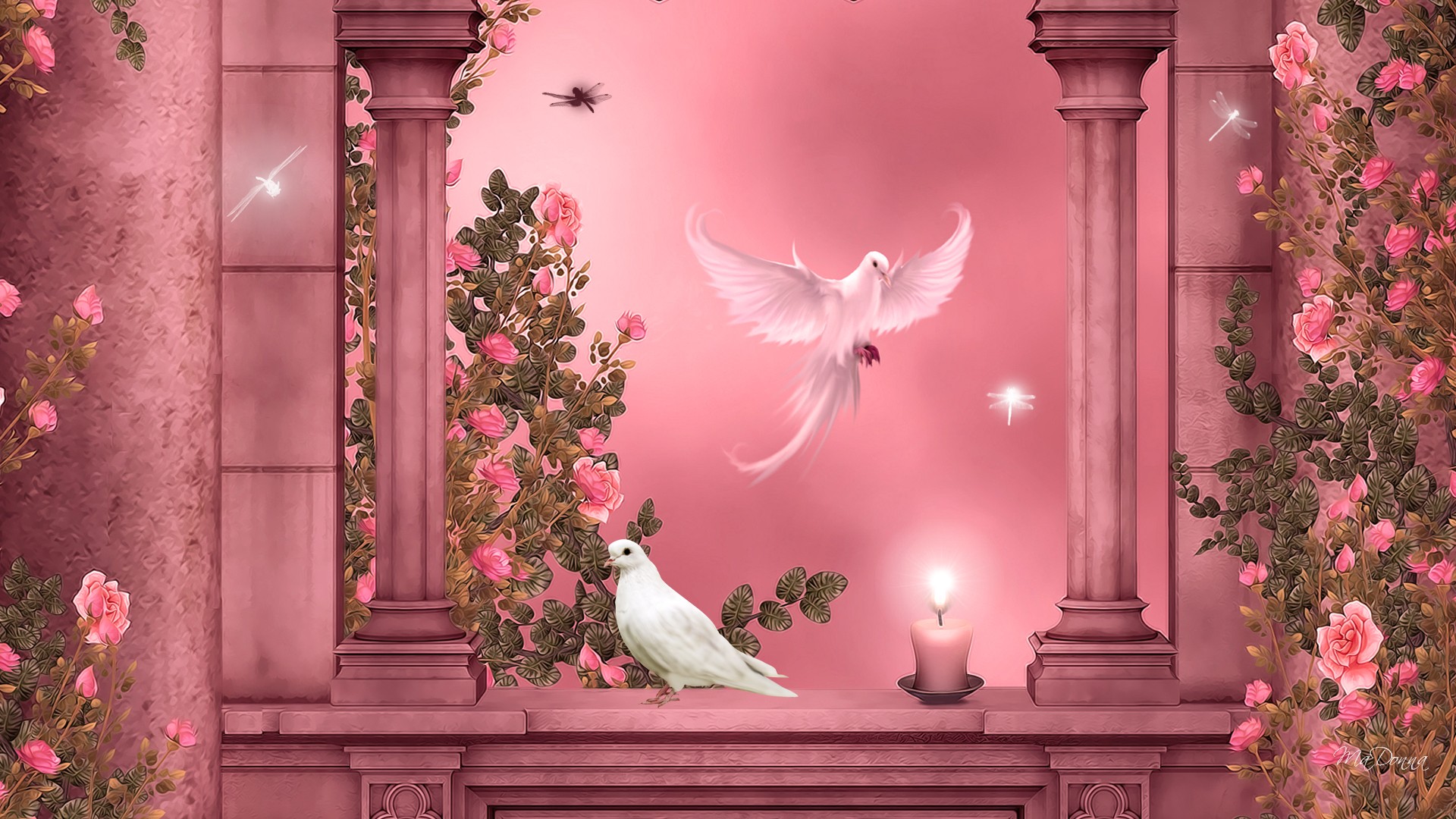 Laden Sie das Rosa, Rose, Taube, Kerze, Säulen, Künstlerisch, Pinke Rose-Bild kostenlos auf Ihren PC-Desktop herunter