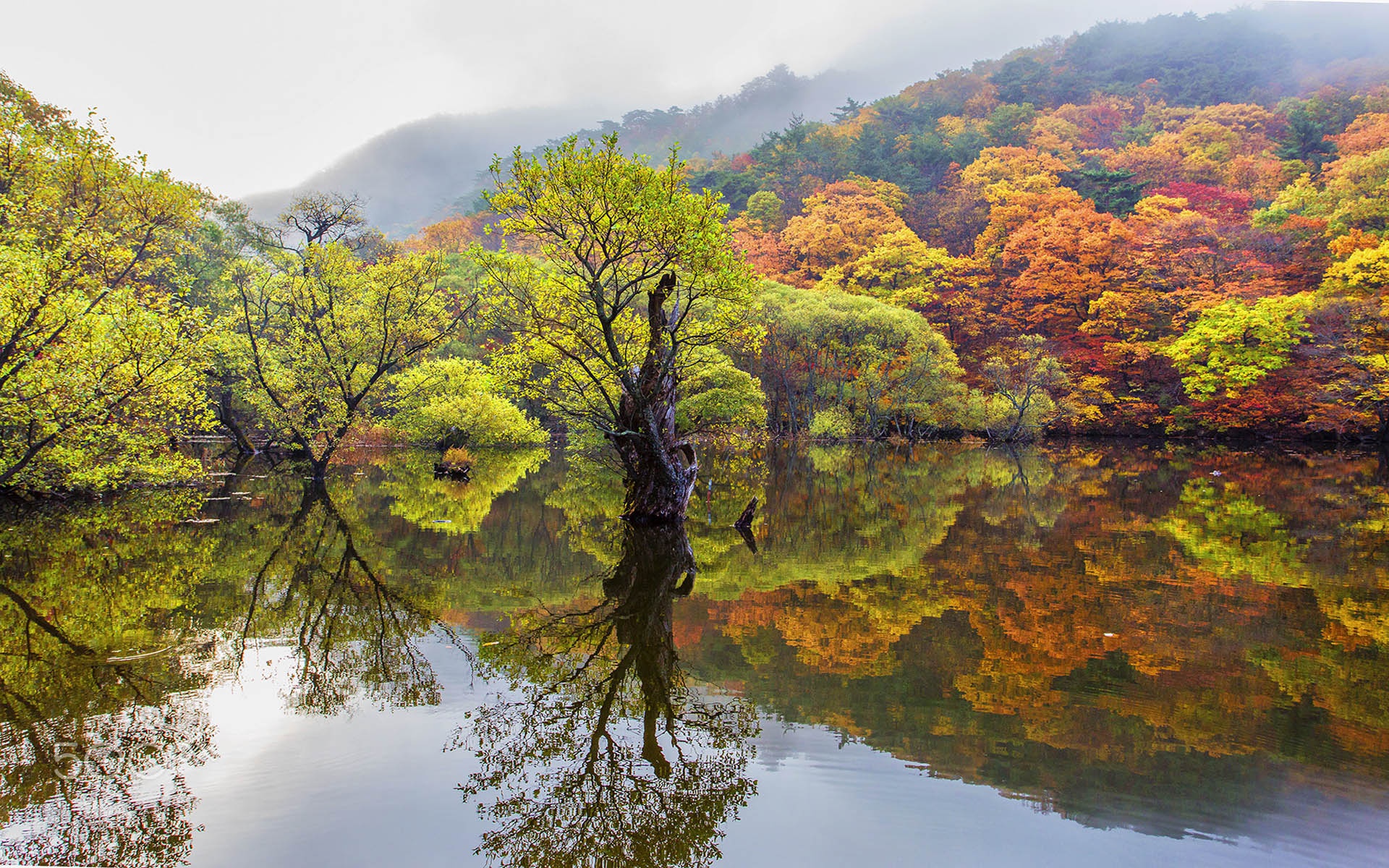 Descarga gratuita de fondo de pantalla para móvil de Otoño, Lago, Tierra/naturaleza, Reflejo.