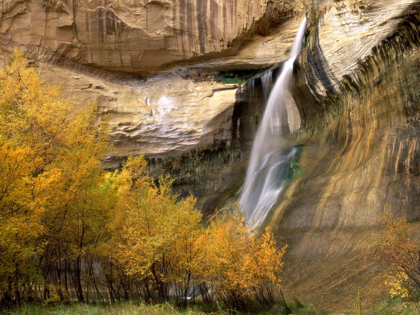 nature, autumn, trees, grass, waterfall HD for desktop 1080p