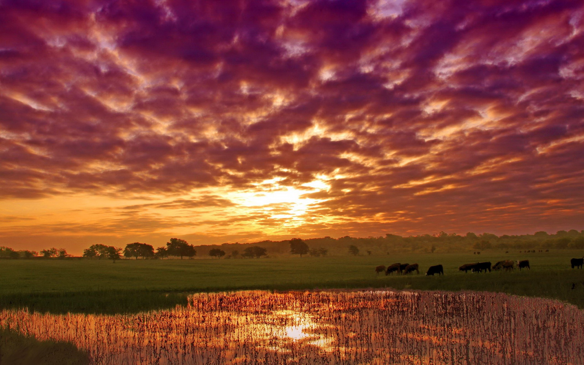 Descarga gratis la imagen Paisaje, Tierra/naturaleza en el escritorio de tu PC