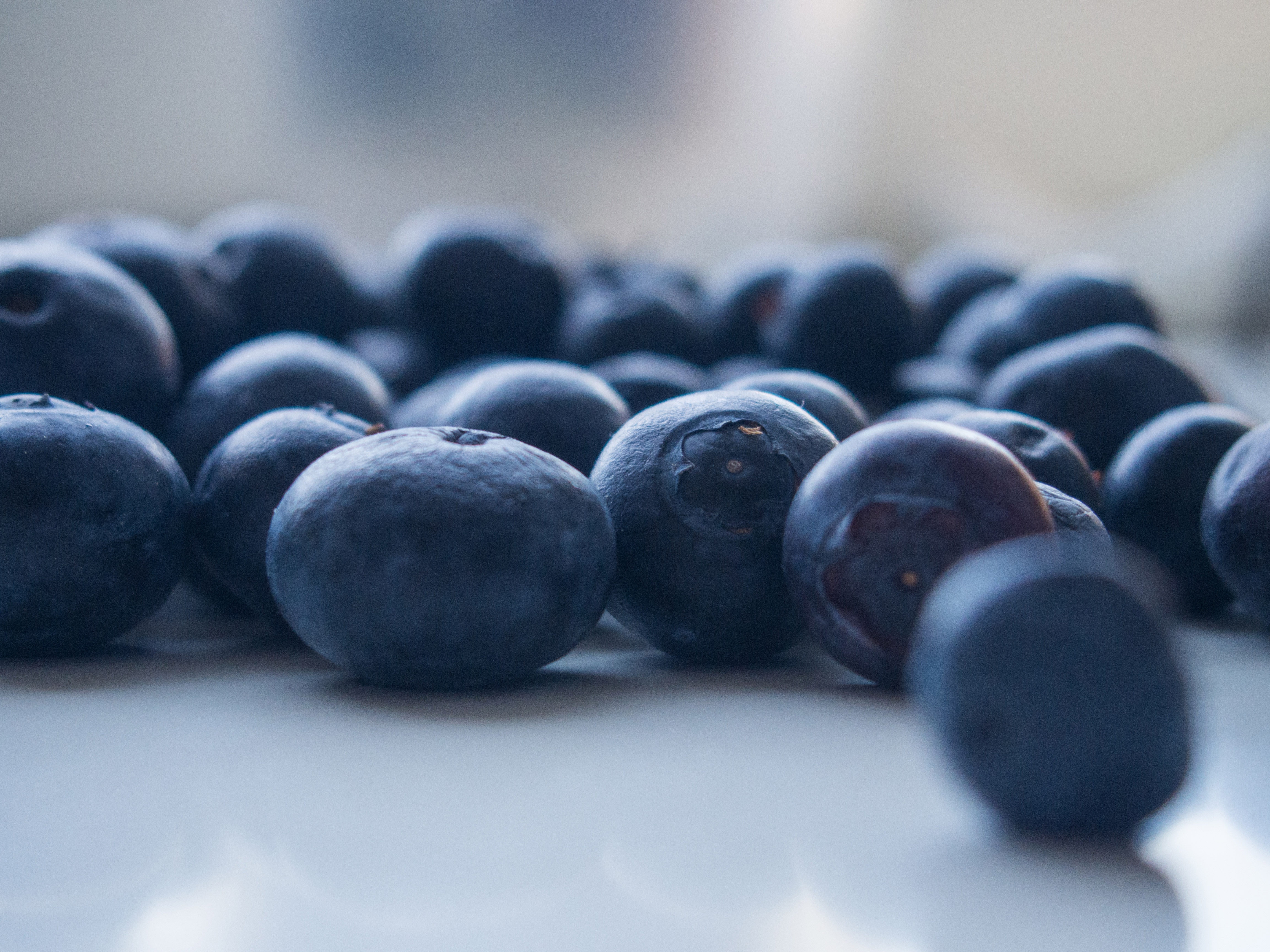 Free download wallpaper Berries, Blur, Smooth, Food, Bilberries, Close Up on your PC desktop