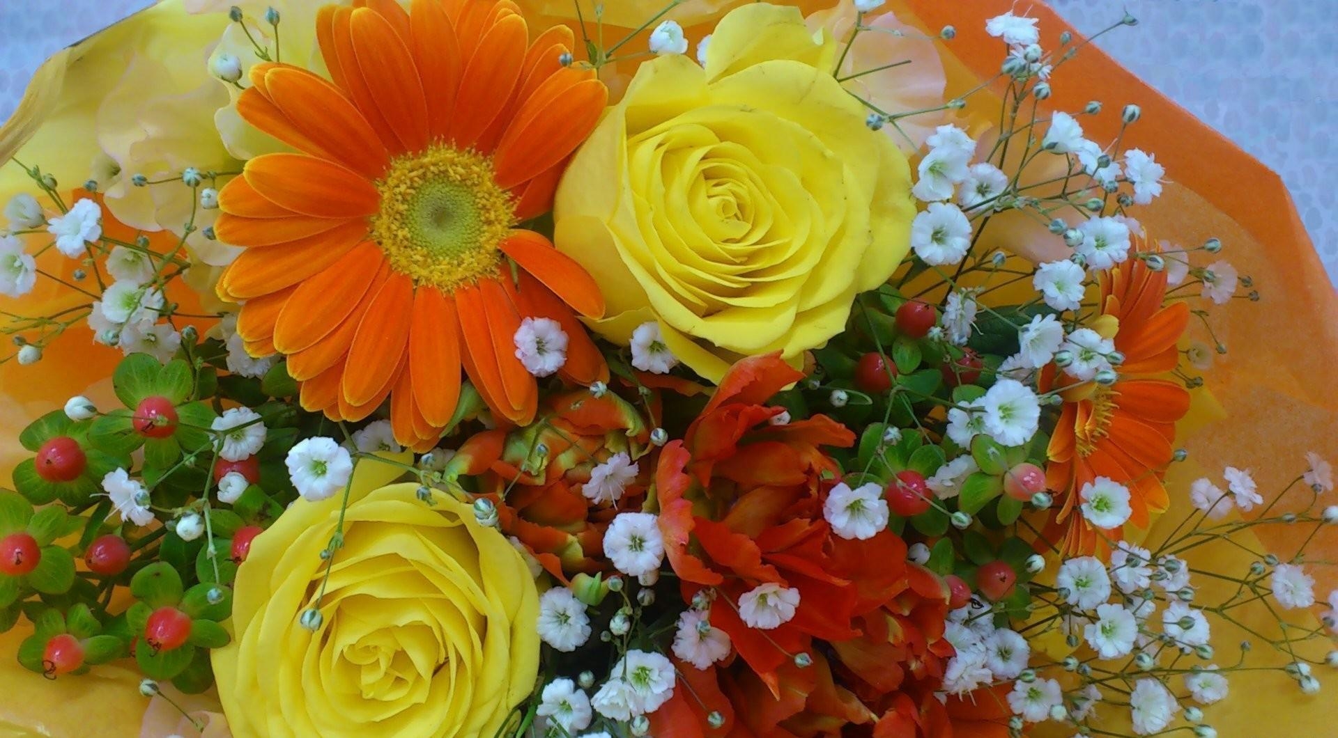 gipsophile, flowers, roses, gerberas, registration, typography, bouquet, gypsophilus