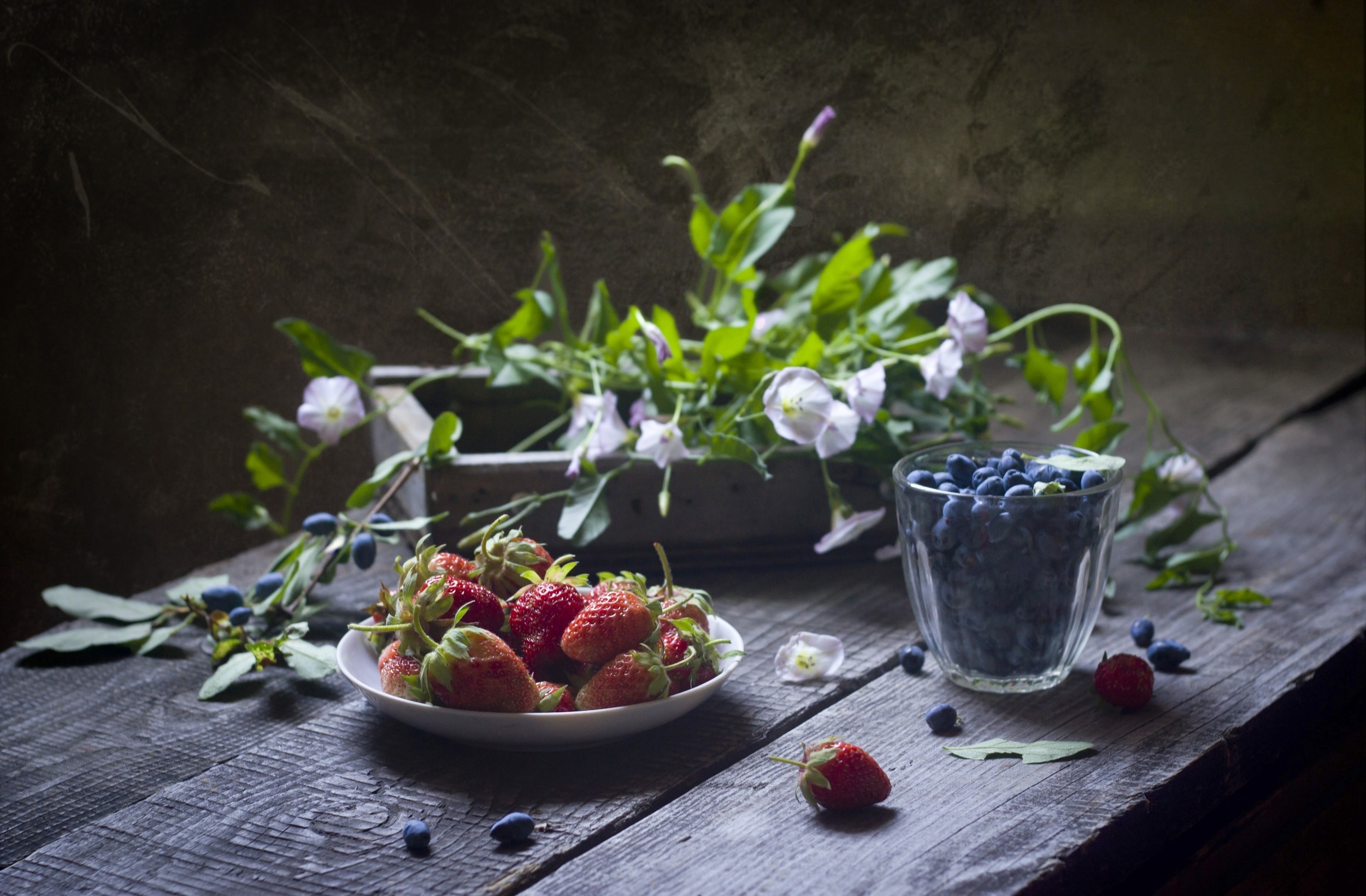 Free download wallpaper Food, Strawberry, Blueberry, Still Life, Berry, Fruit on your PC desktop